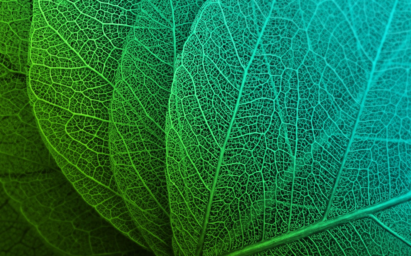 Image Processing Wallpapers - Wallpaper Cave