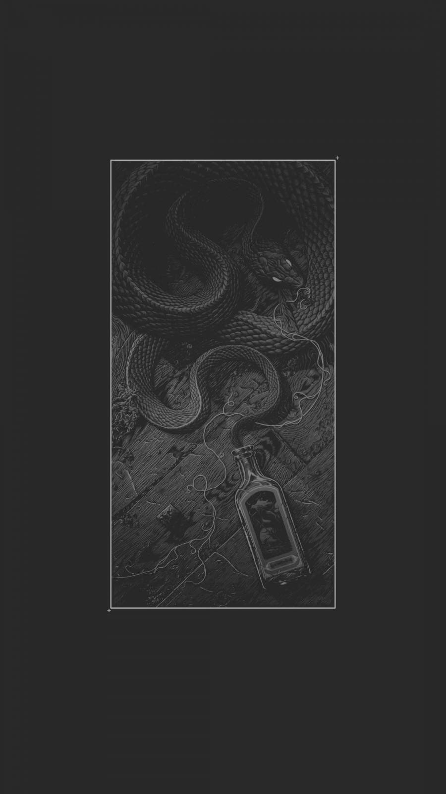 Bottle Snake 4K IPhone Wallpaper Wallpaper, iPhone Wallpaper