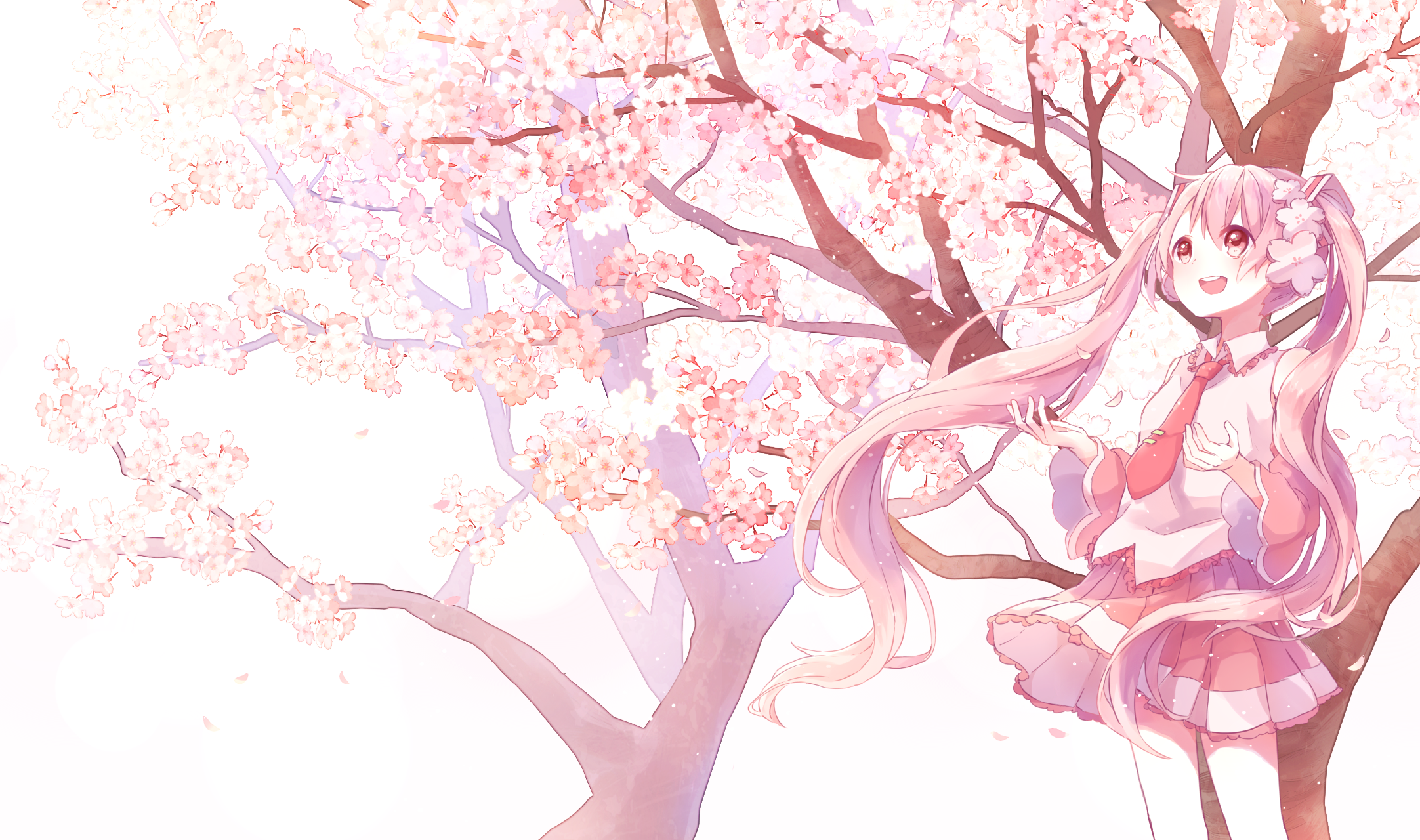 Sakura Miku HD Wallpaper and Background