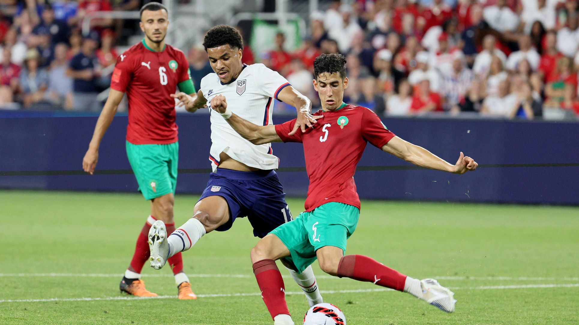 Qatar World Cup 2022: Five Middle Eastern and North African teams competing for glory. Middle East Eye