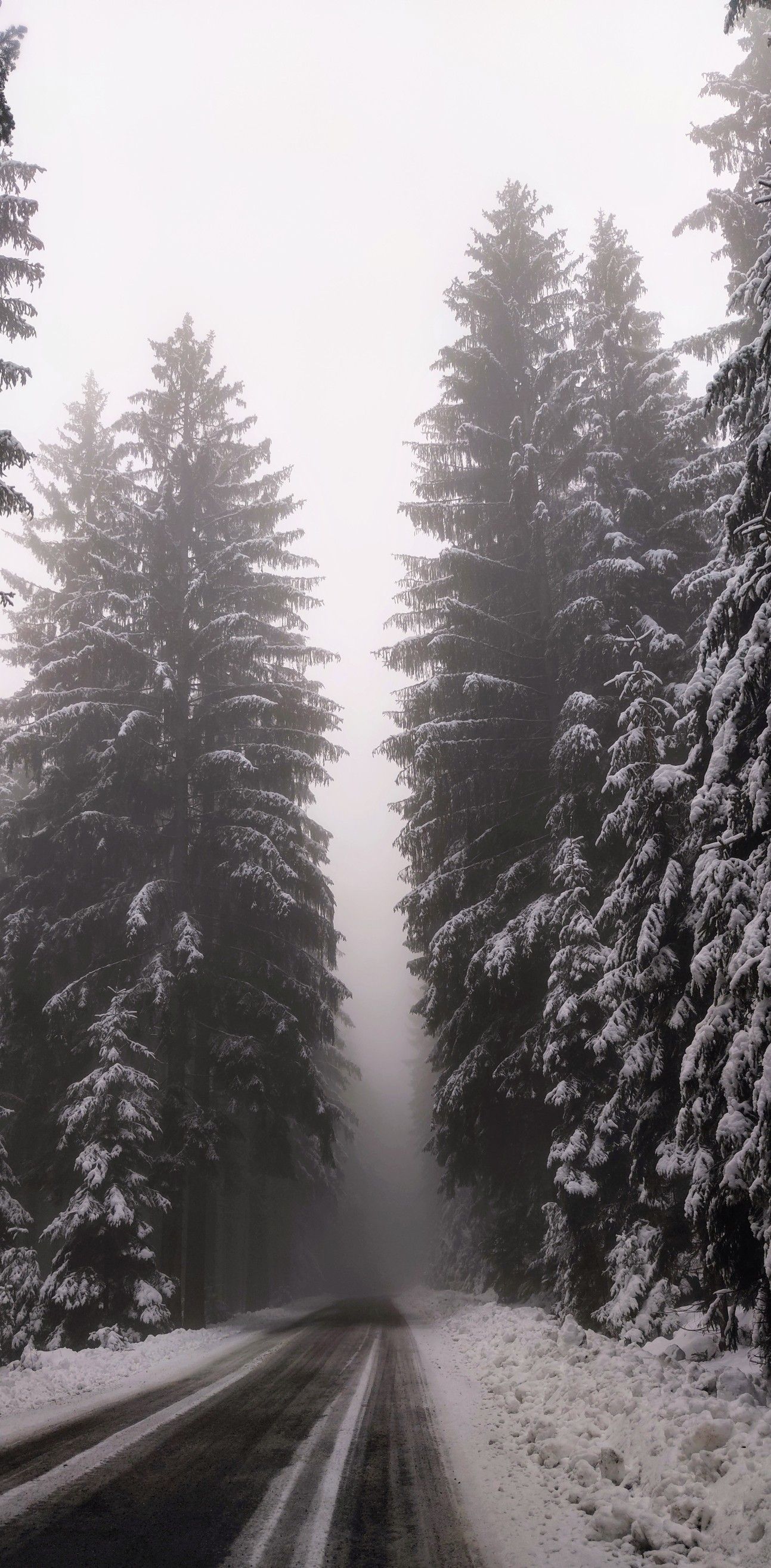road to nowhere. Winter snow wallpaper, iPhone wallpaper winter, Dark nature aesthetic