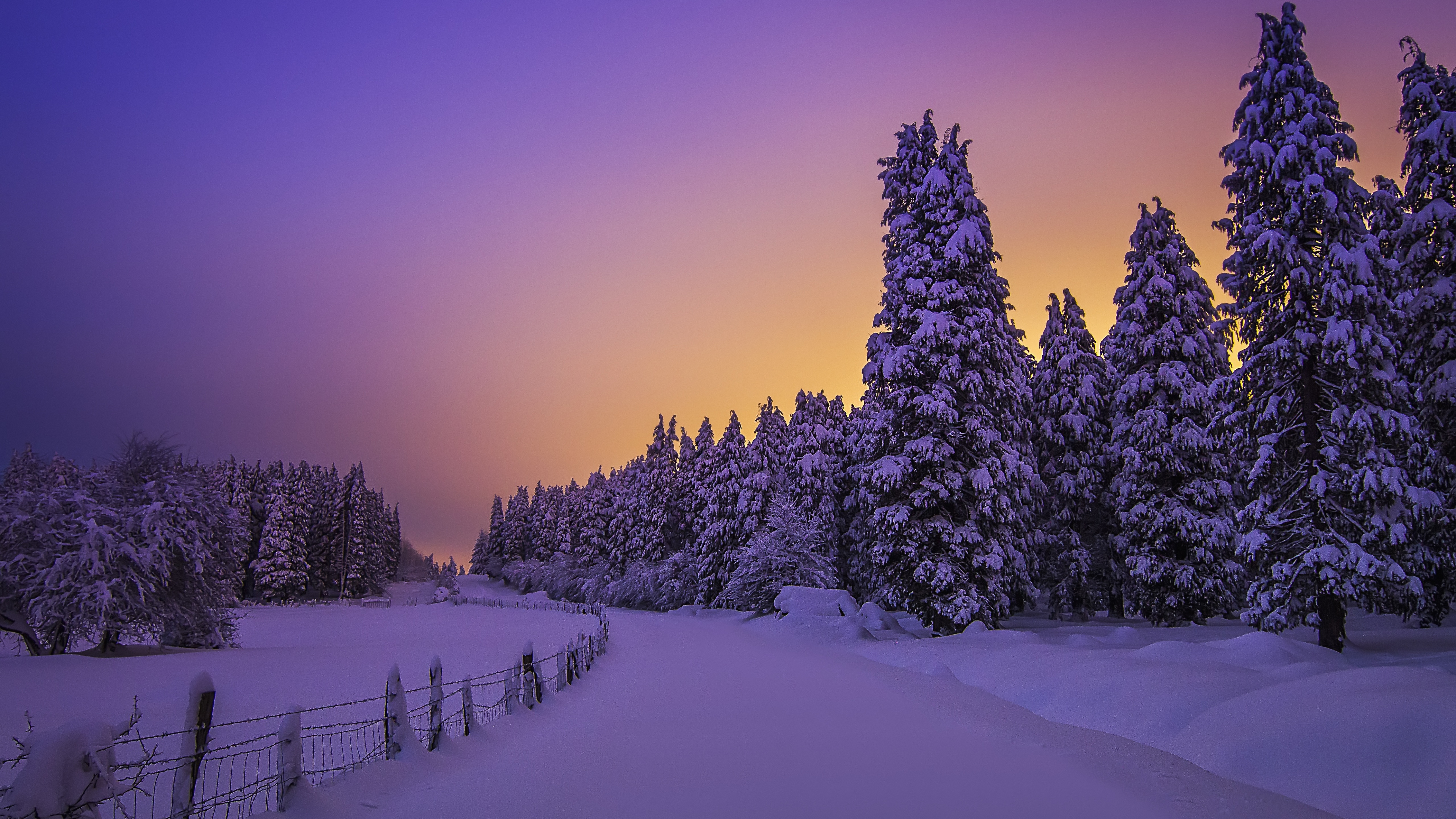 Landscape Wallpaper 4K, Purple sky, Nature