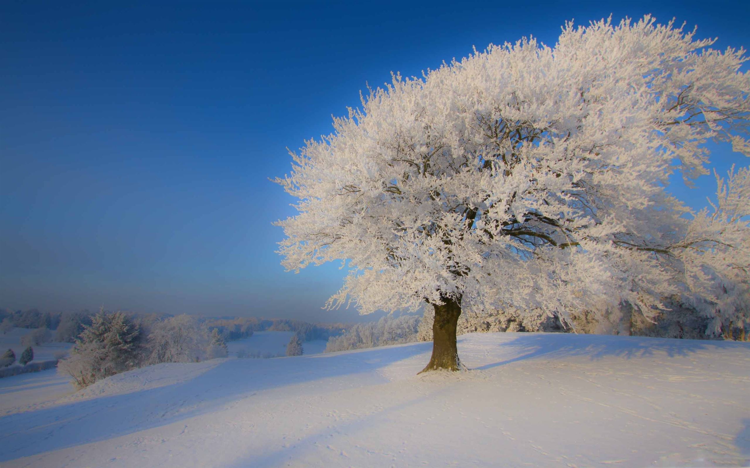 Beautiful Winter Landscape MacBook Air Wallpaper Download
