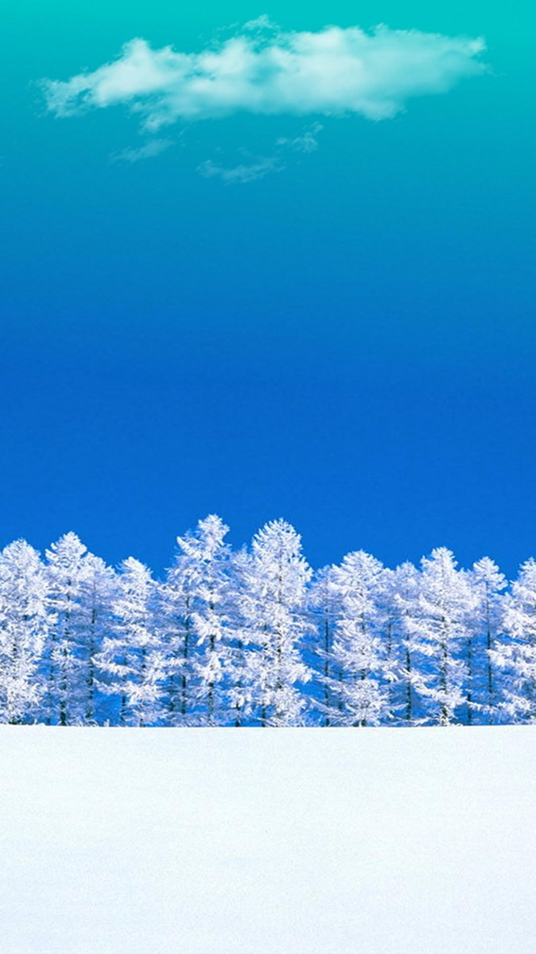 Winter Aesthetic iPhone 12 Wallpaper HD 2022