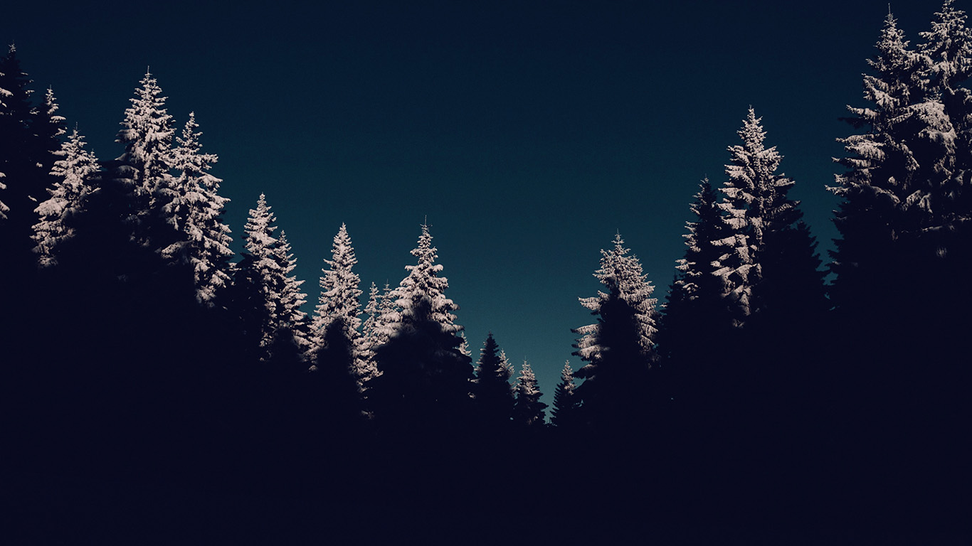 Wood Winter Night Mountain Blue Dark Wallpaper