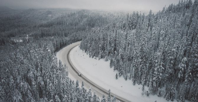 Wallpaper winter, snowfrost, trees, forest, nature, road, aerial view desktop wallpaper, HD image, picture, background, f6ff05