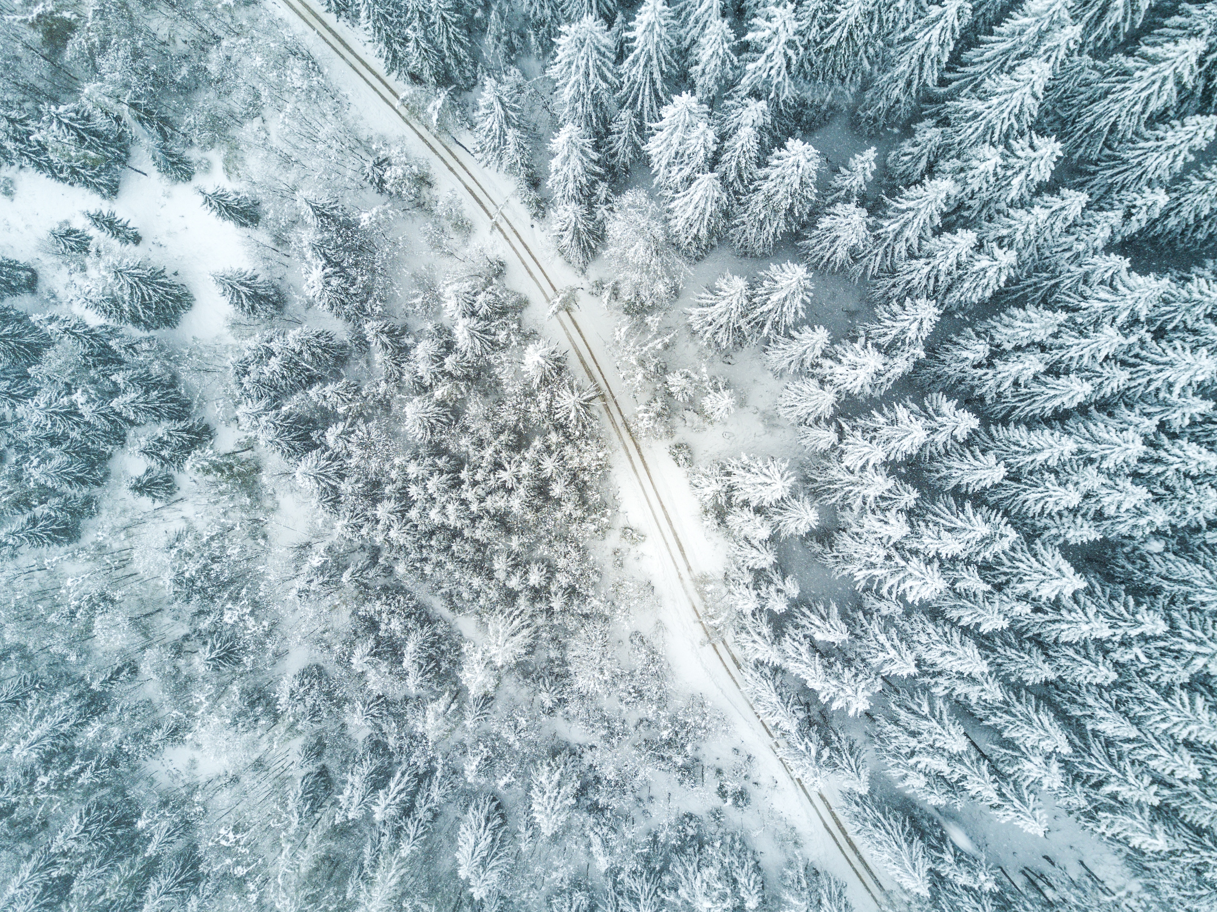 3992x2992 drone, route, aerial view, mountain, Free , snow, nature, aerial, road, fly, top view, birds eye, helicopter, tree, czech, drone view, forest, track, lane, top, winter