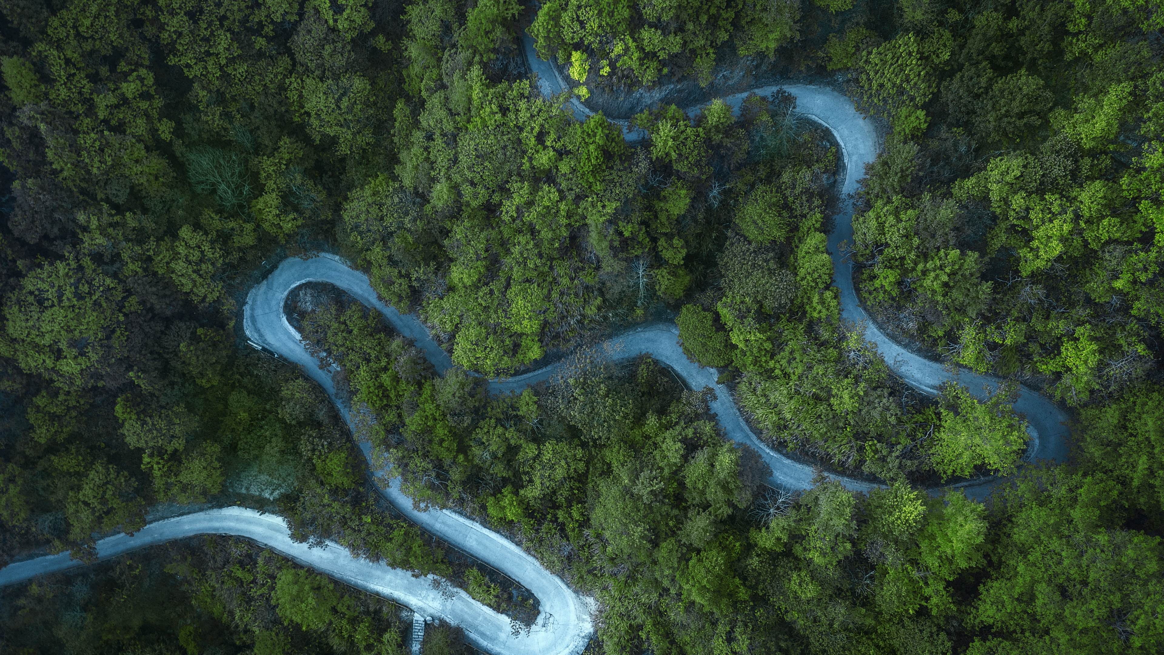 Forest Wallpaper 4K, Road, Aerial view, Nature