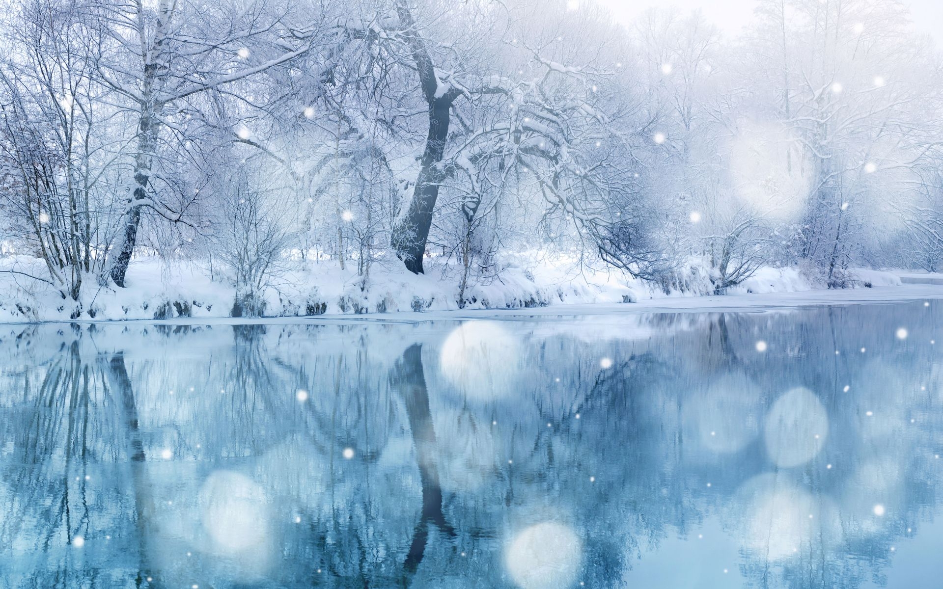 Winter Background, High Definition, High Quality, Widescreen