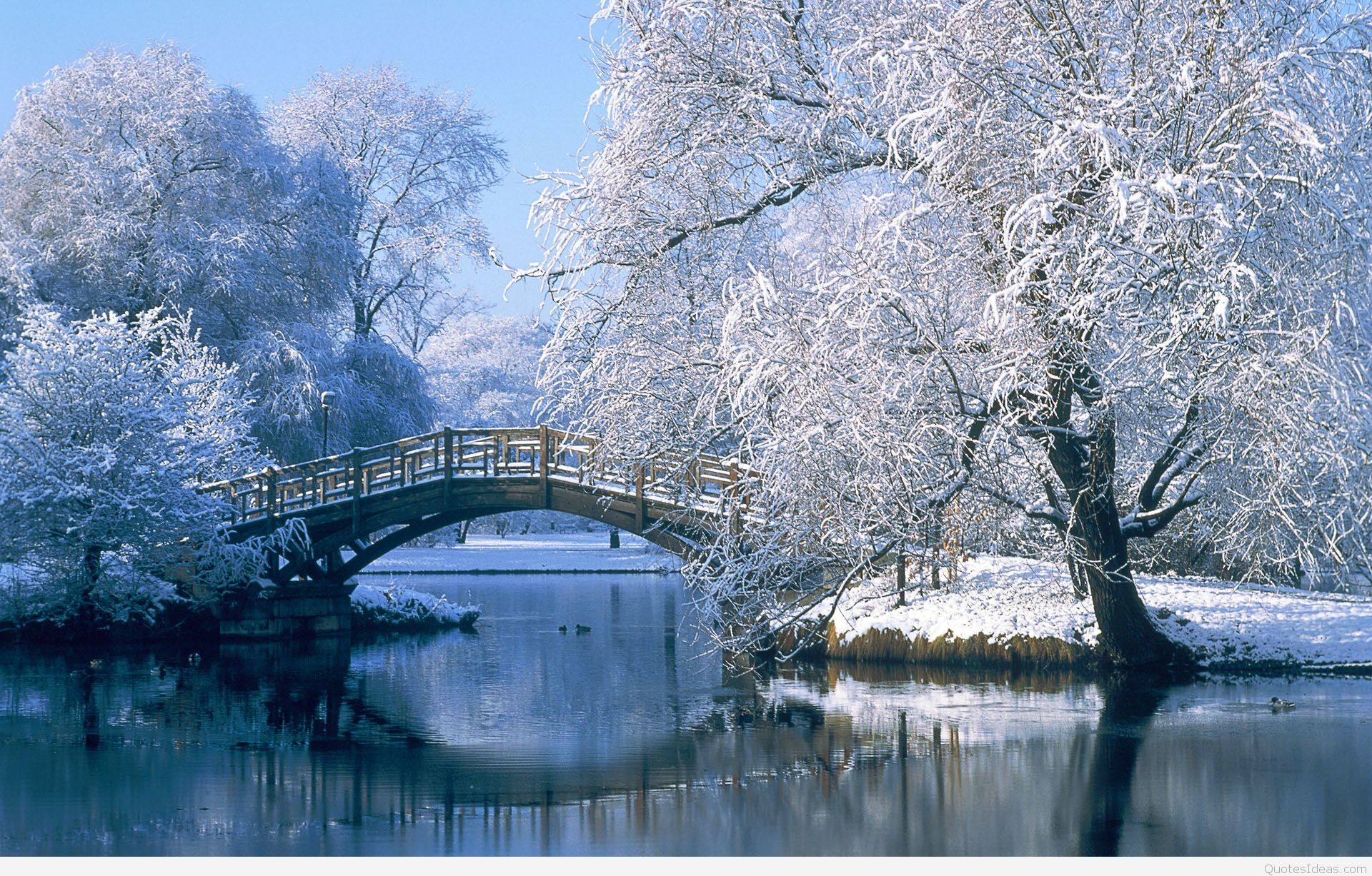 Cute Winter Wallpaper