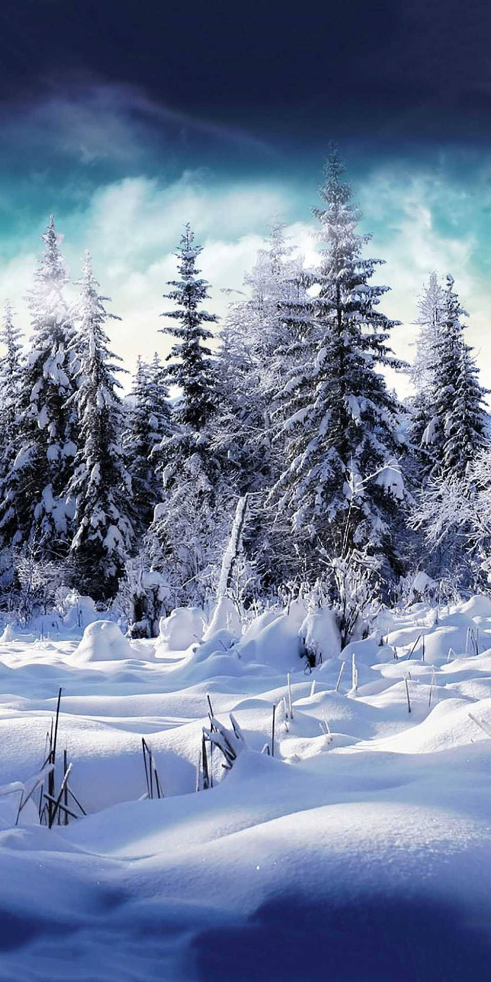 Winter iPhone Wallpaper & Background For FREE