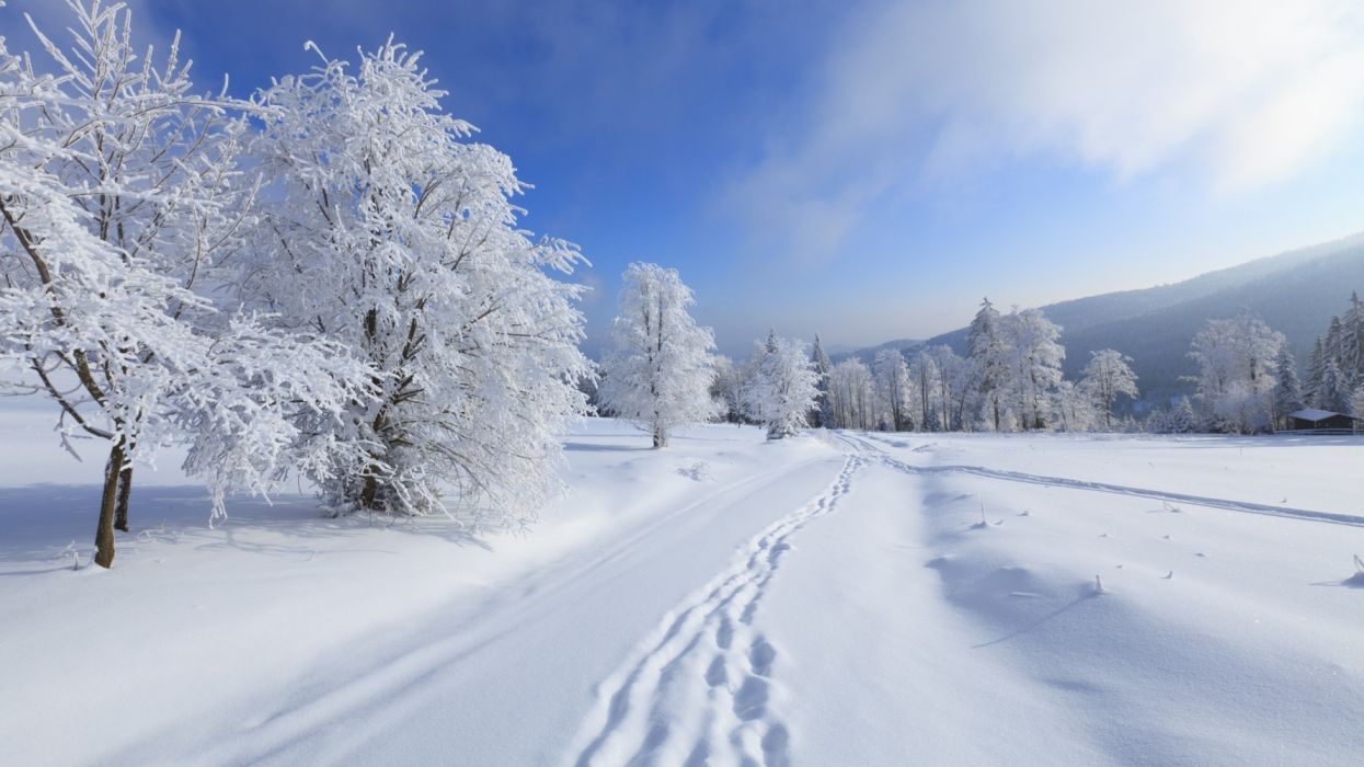 Trees road winter sky nature snow widescreen wallpaperx1080