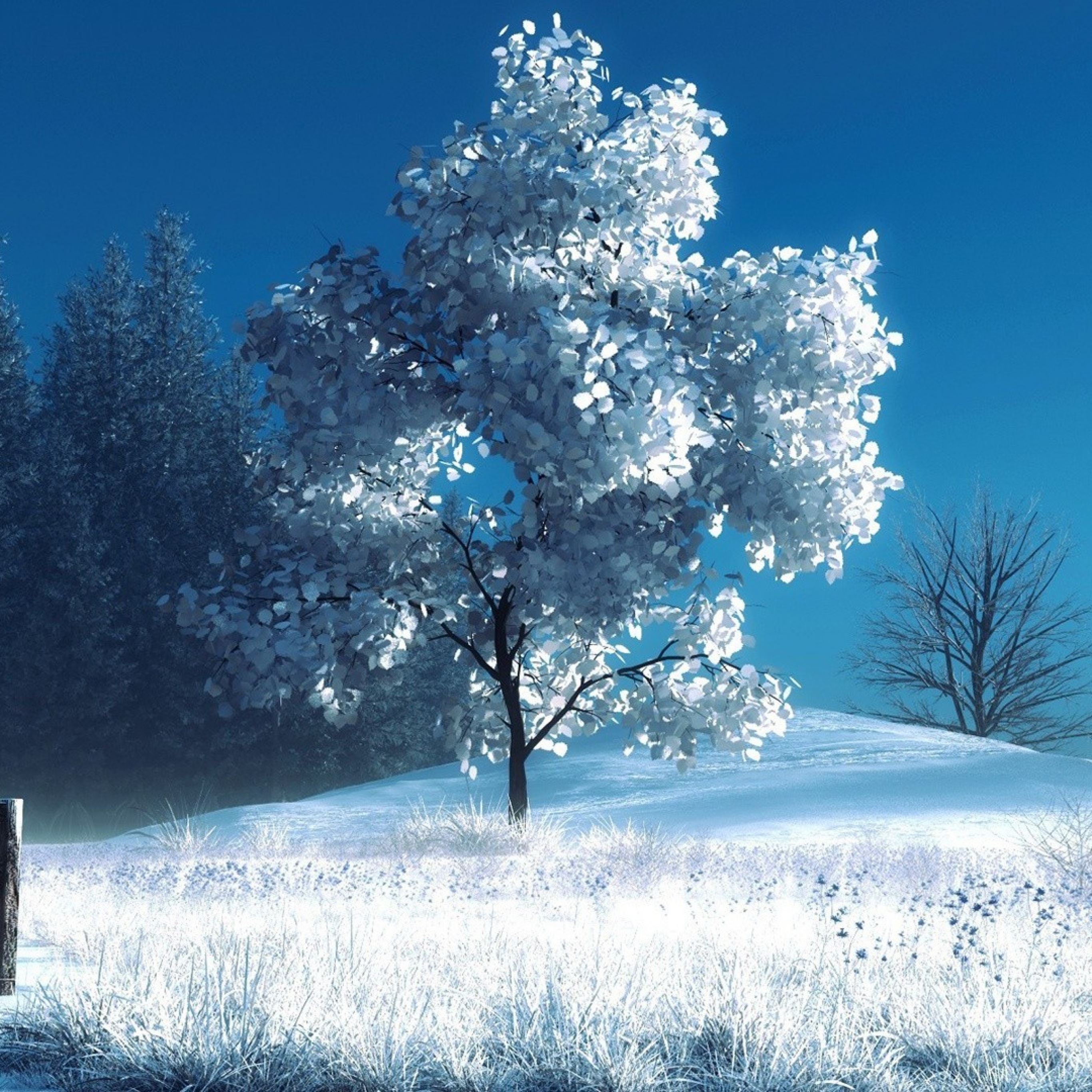 Winter landscape iPad Pro Wallpaper Free Download