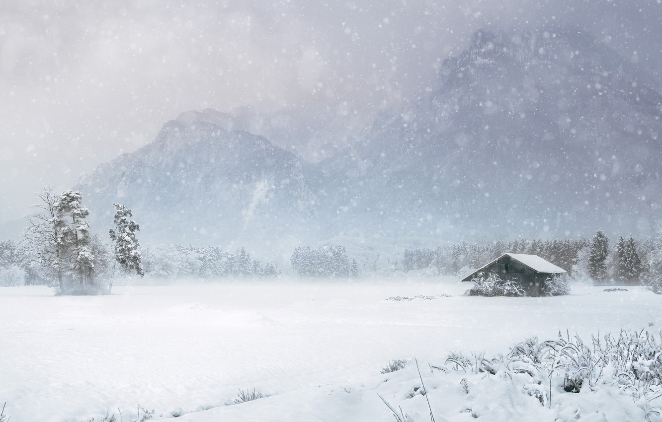 Wallpaper winter, field, forest, snow, trees, mountains, nature, fog, hut, the snow, haze, pine, house, Blizzard, snowfall, Blizzard image for desktop, section пейзажи
