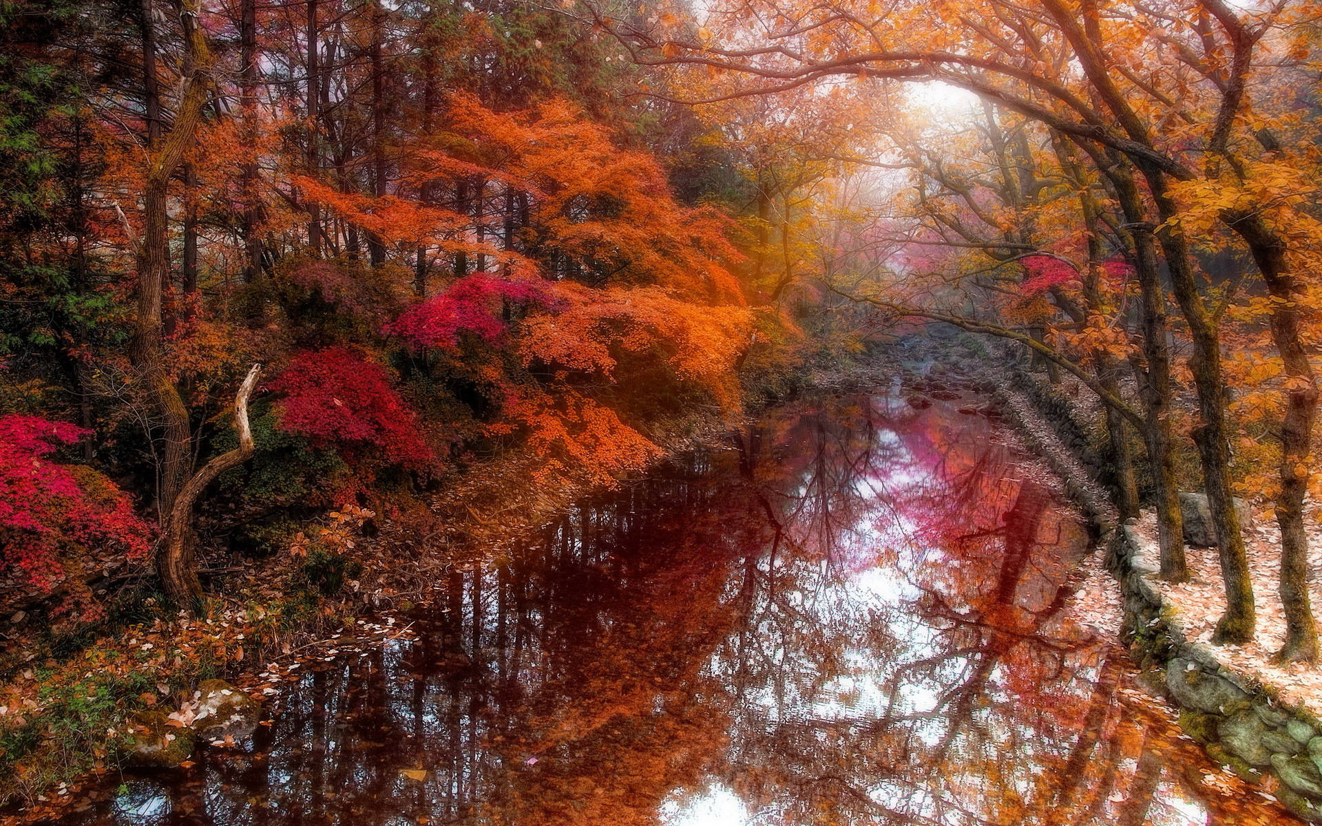 Download Autumn Time In South Korea Wallpaper