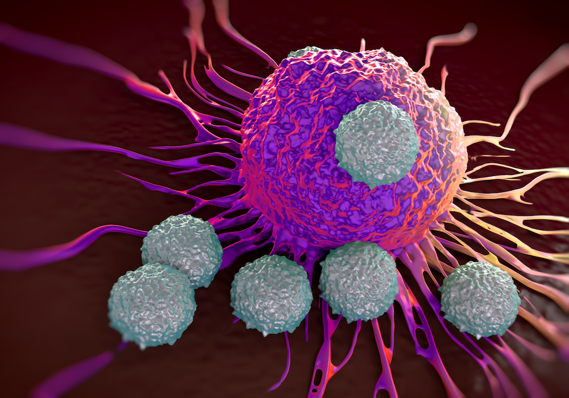 Activating Your Immune System Against Cancer. Roswell Park Comprehensive Cancer Center, NY