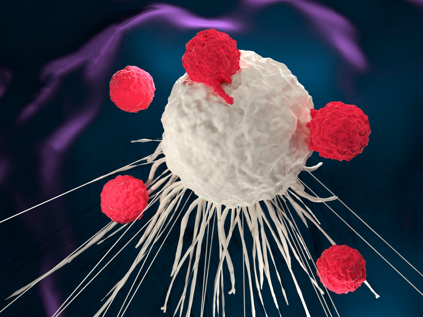 Immunotherapy Boosted to Eliminate Cancers in Mouse Model