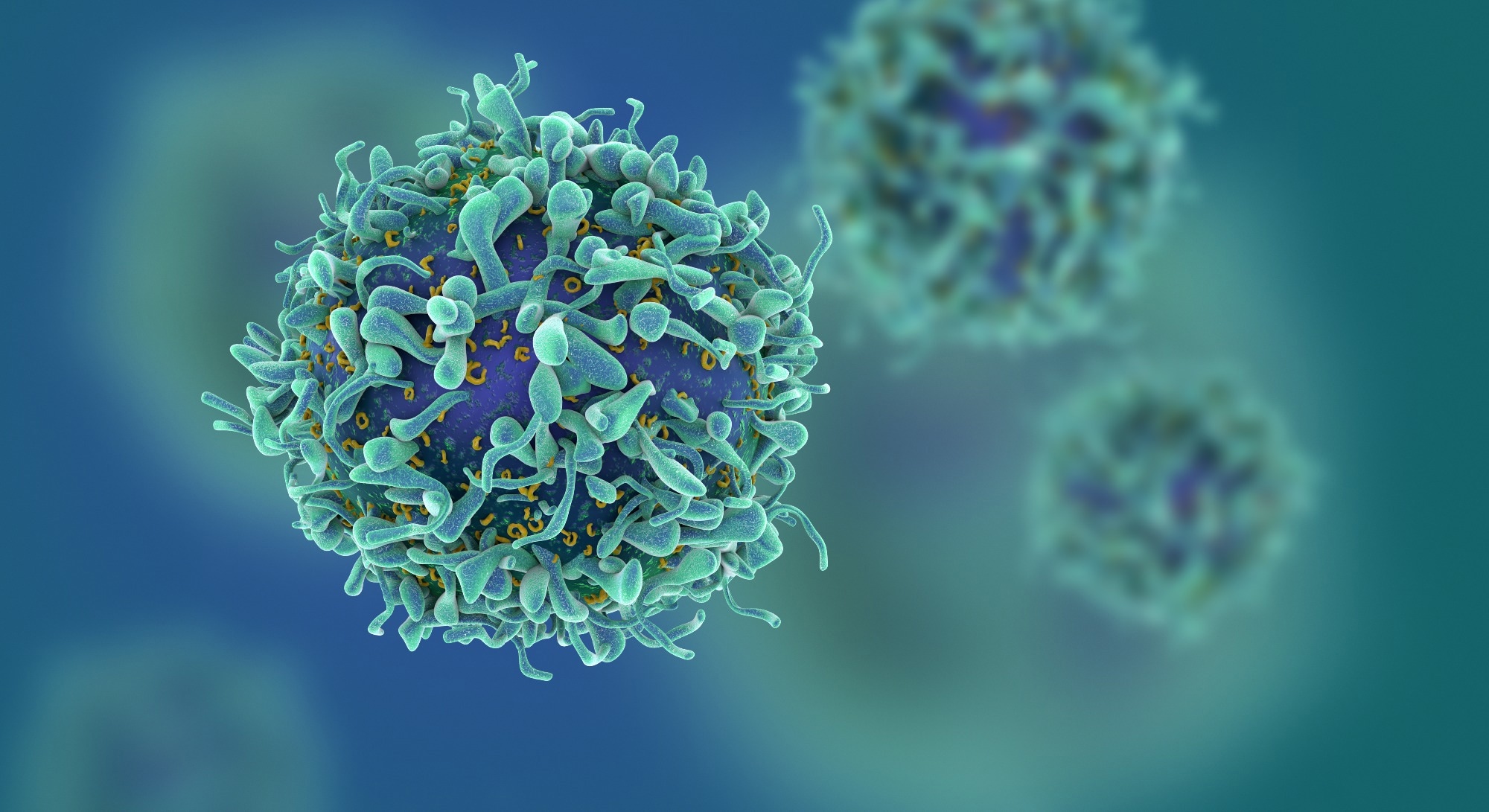 Small antiviral molecules termed assembly modulators show therapeutic efficacy against cancer