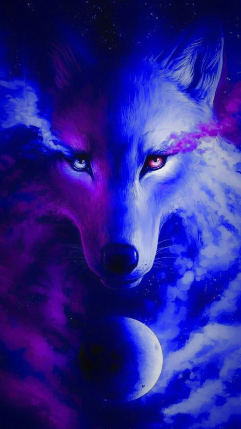 Wolf Wallpaper Wolf Wallpaper [ HQ ]