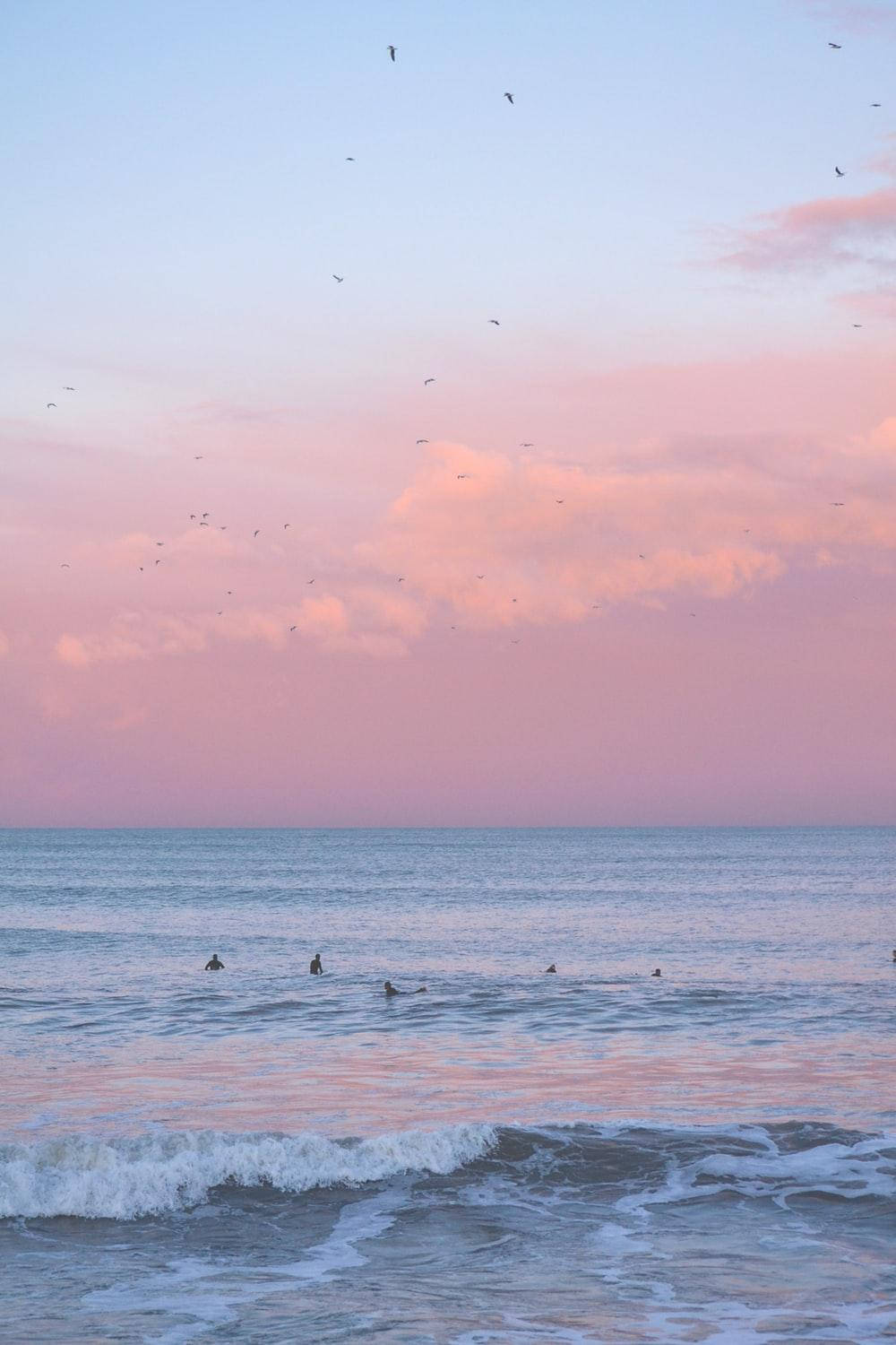 Download Aesthetic Pink iPhone Ocean