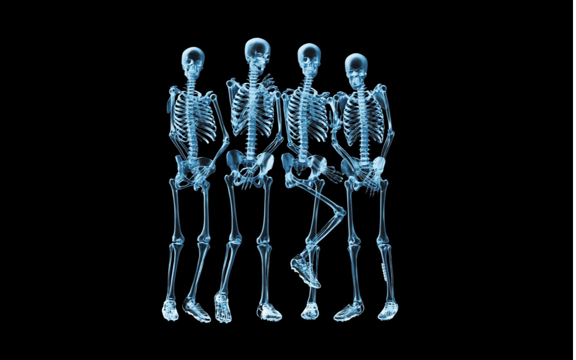 Skeleton HD Wallpaper and Background