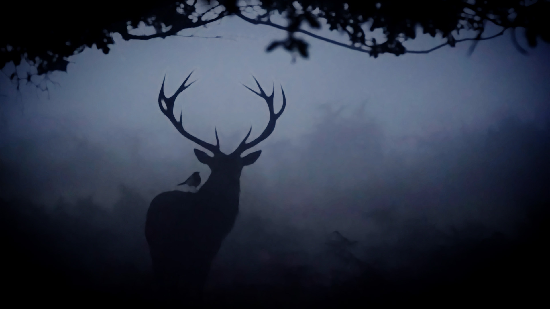 Hannigram Fanart on Tumblr