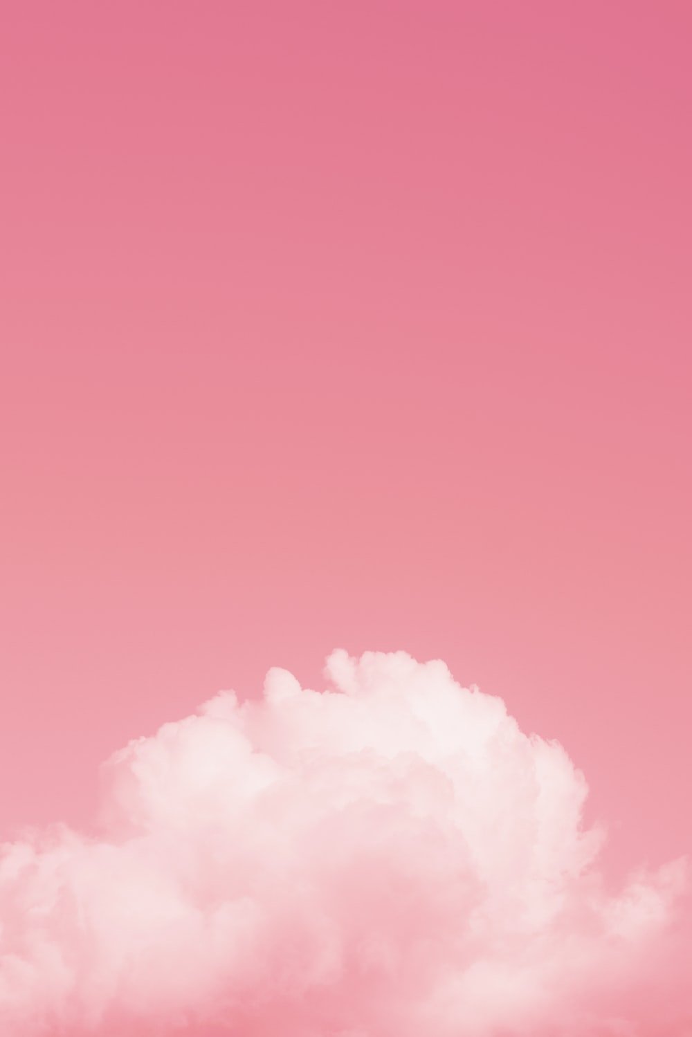 Pink Wallpaper: Free HD Download [HQ]