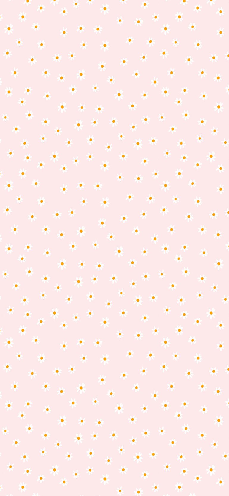 Pink Aesthetic Picture, Daisy Wallpaper for Phone Wallpaper