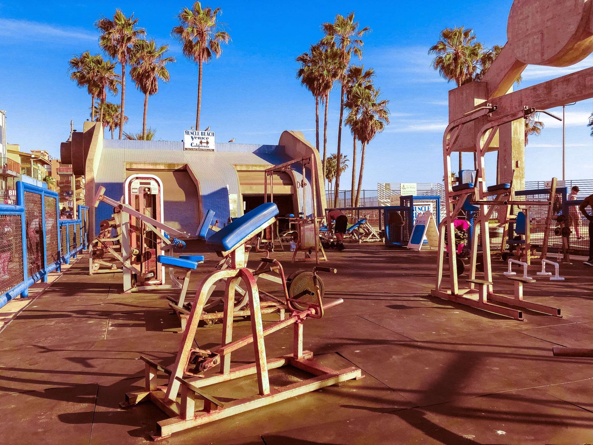 Muscle Beach Wallpapers Wallpaper Cave