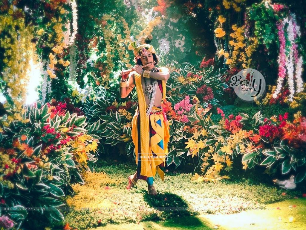 Wallpaper as Krishna from RadhaKrishn size:1024x768