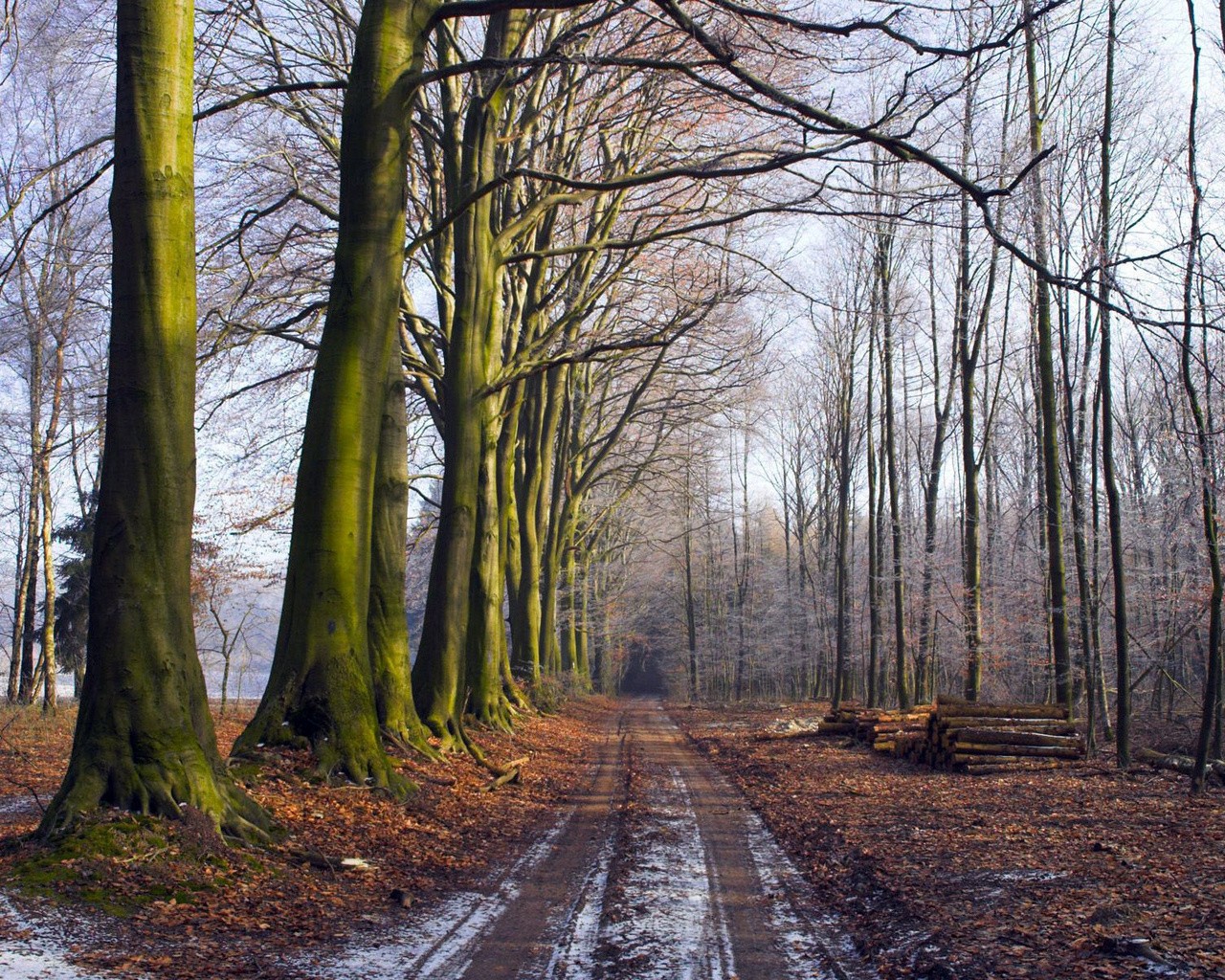 Late Autumn Nature Wallpapers Wallpaper Cave