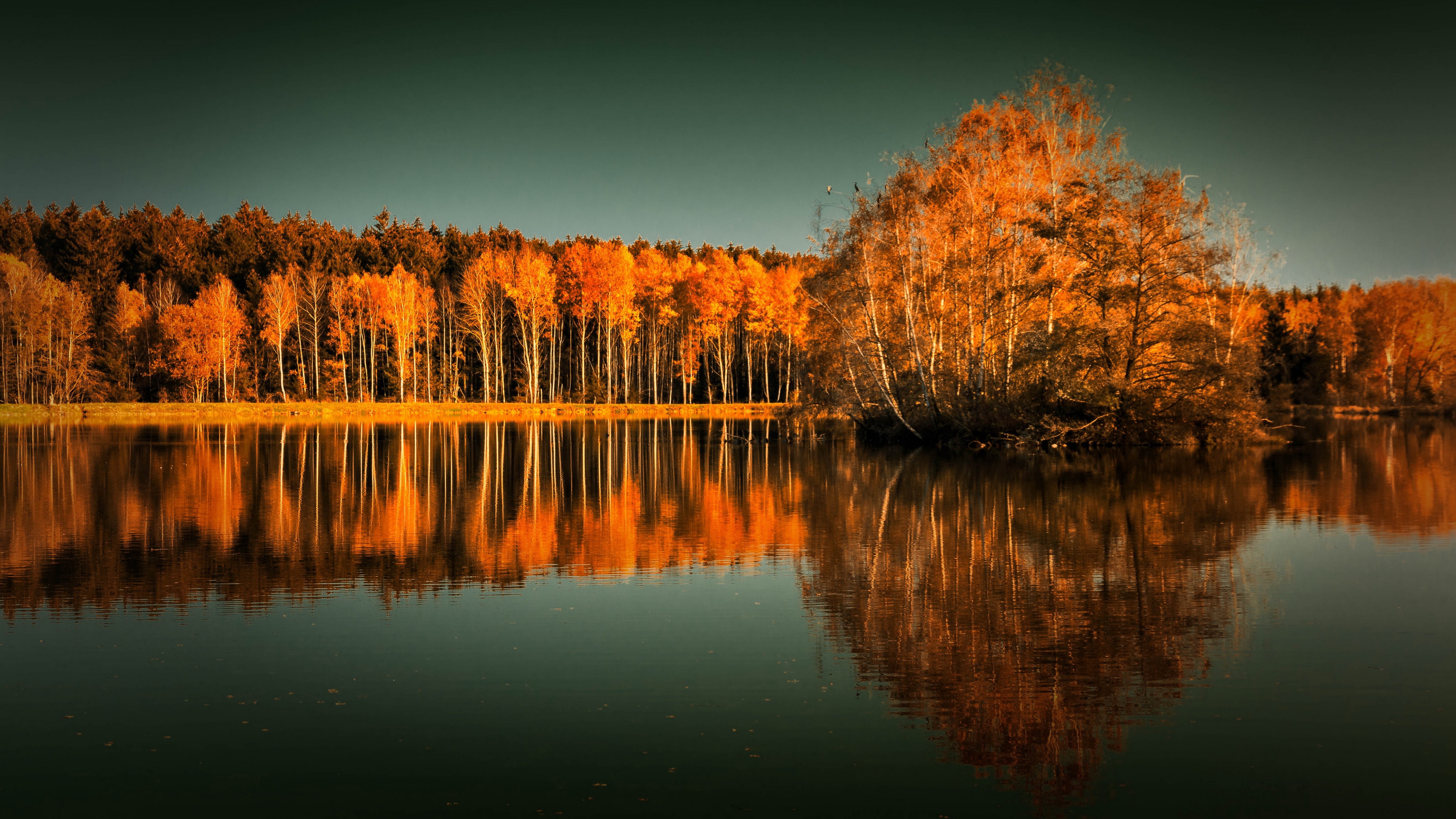 Fall Lake Nature Reflection HD wallpaper