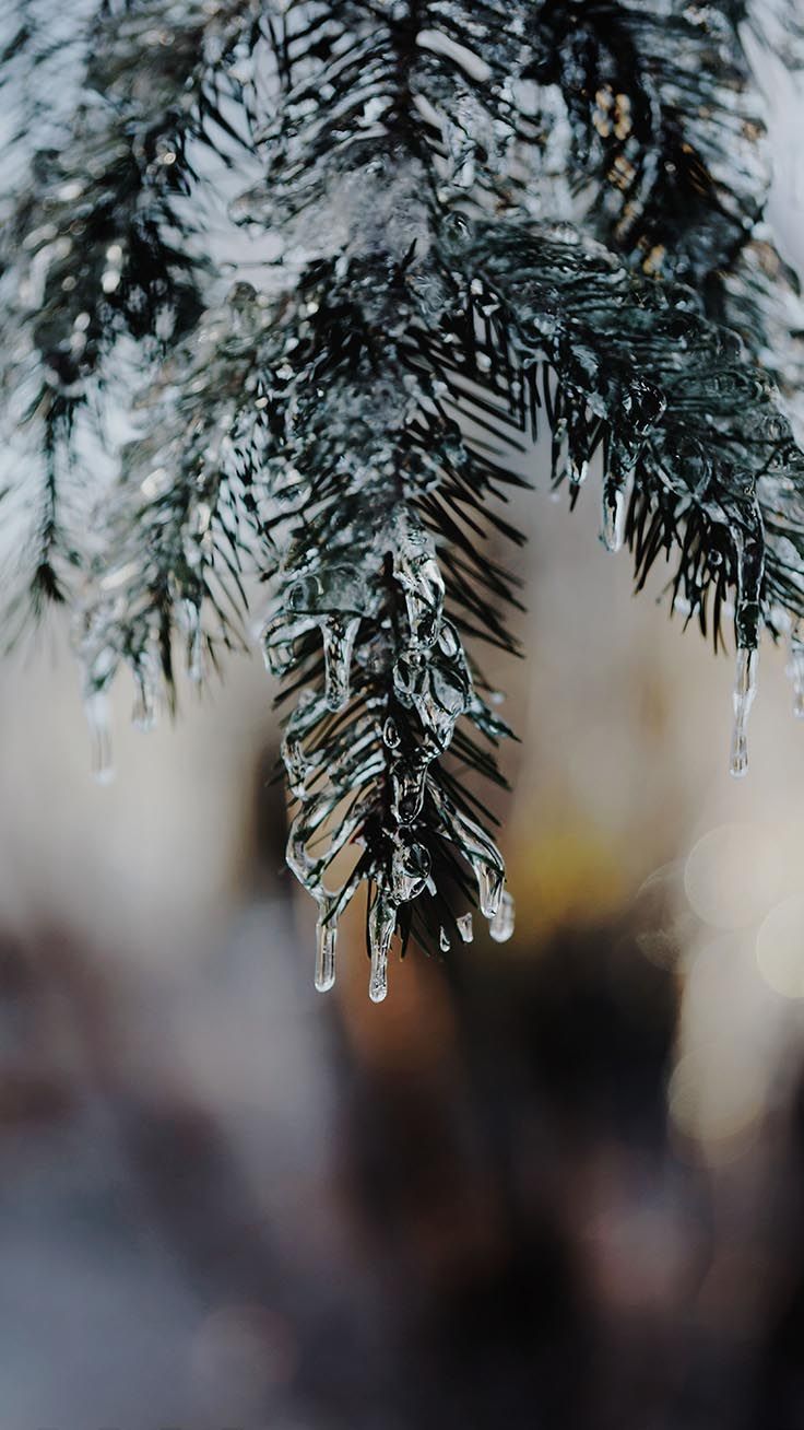 x Winter Landscapes iPhone Wallpaper