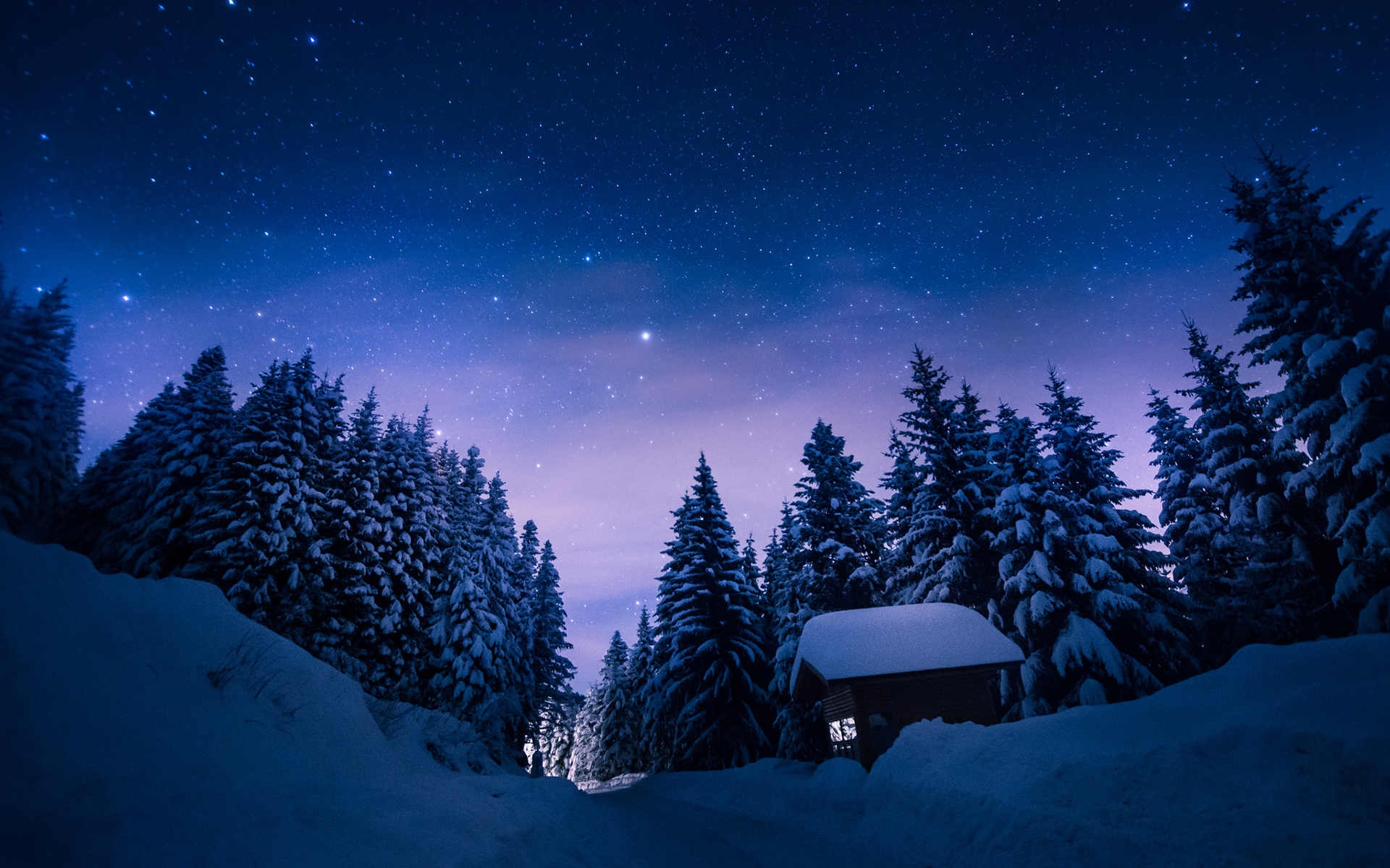 trees, Snow, Winter, Night, Stars, Cabin, Path, Trail, Trees, Sky Wallpaper HD / Desktop and Mobile Background