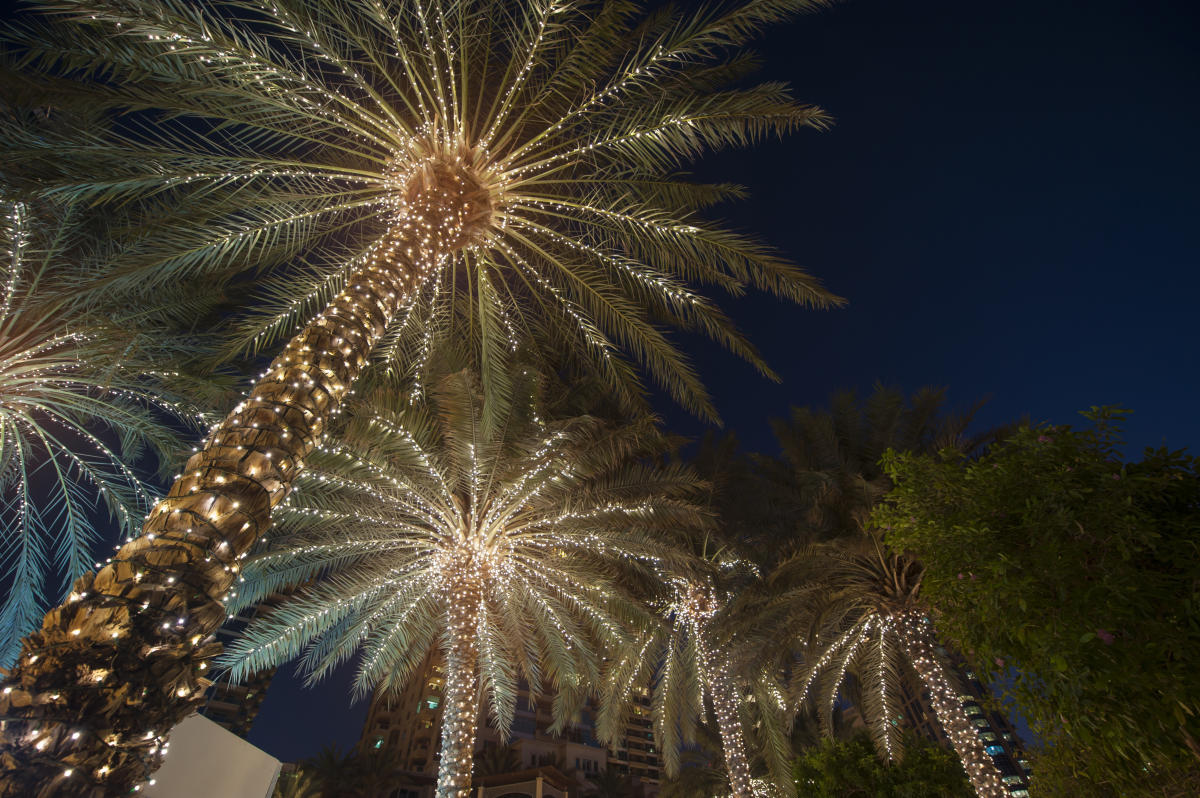 Greet The New Year In Greater Palm Springs (2022 2023)