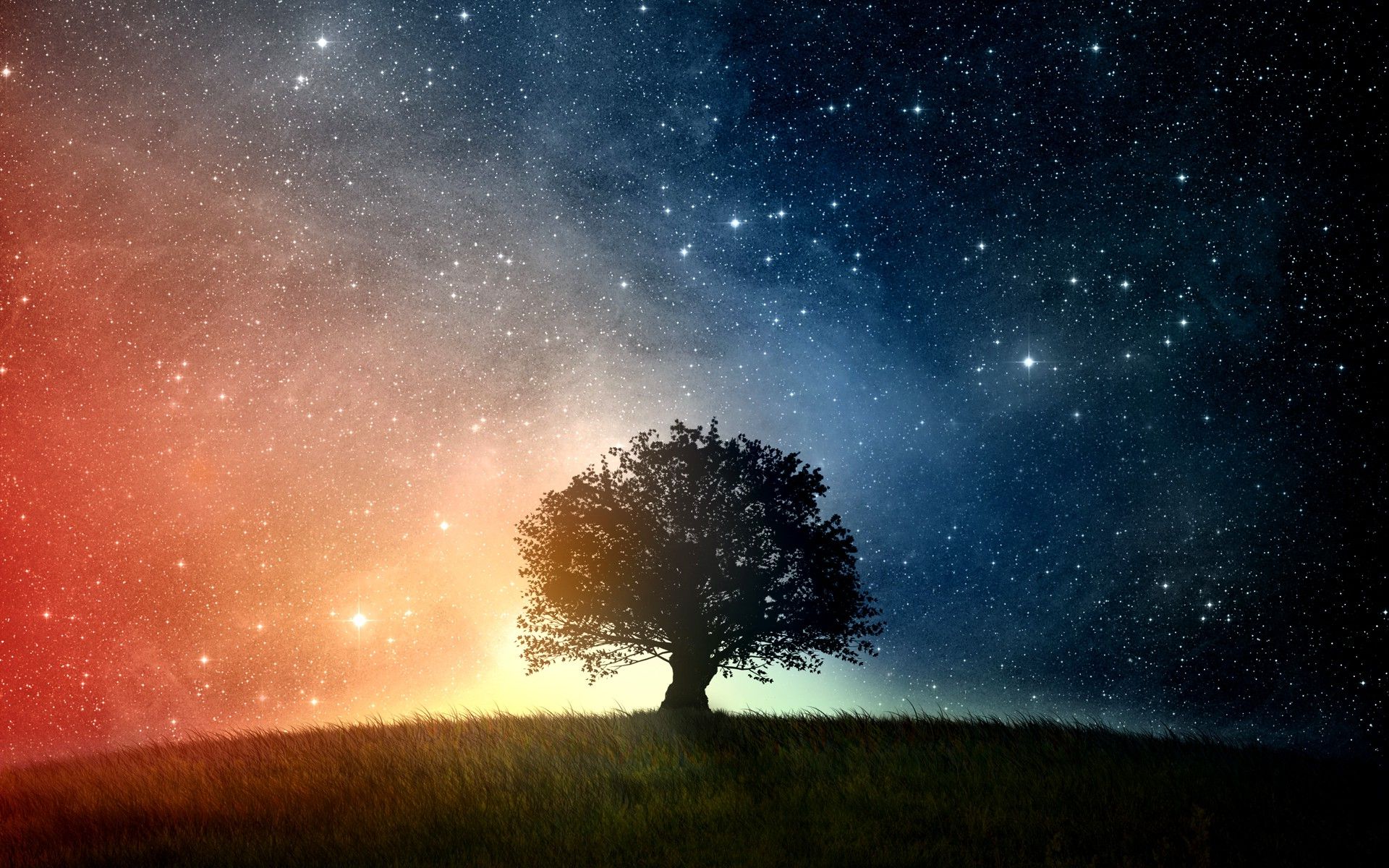 space, Trees, Grass, Stars Wallpaper HD. Desktop background image, Landscape wallpaper, Star wallpaper