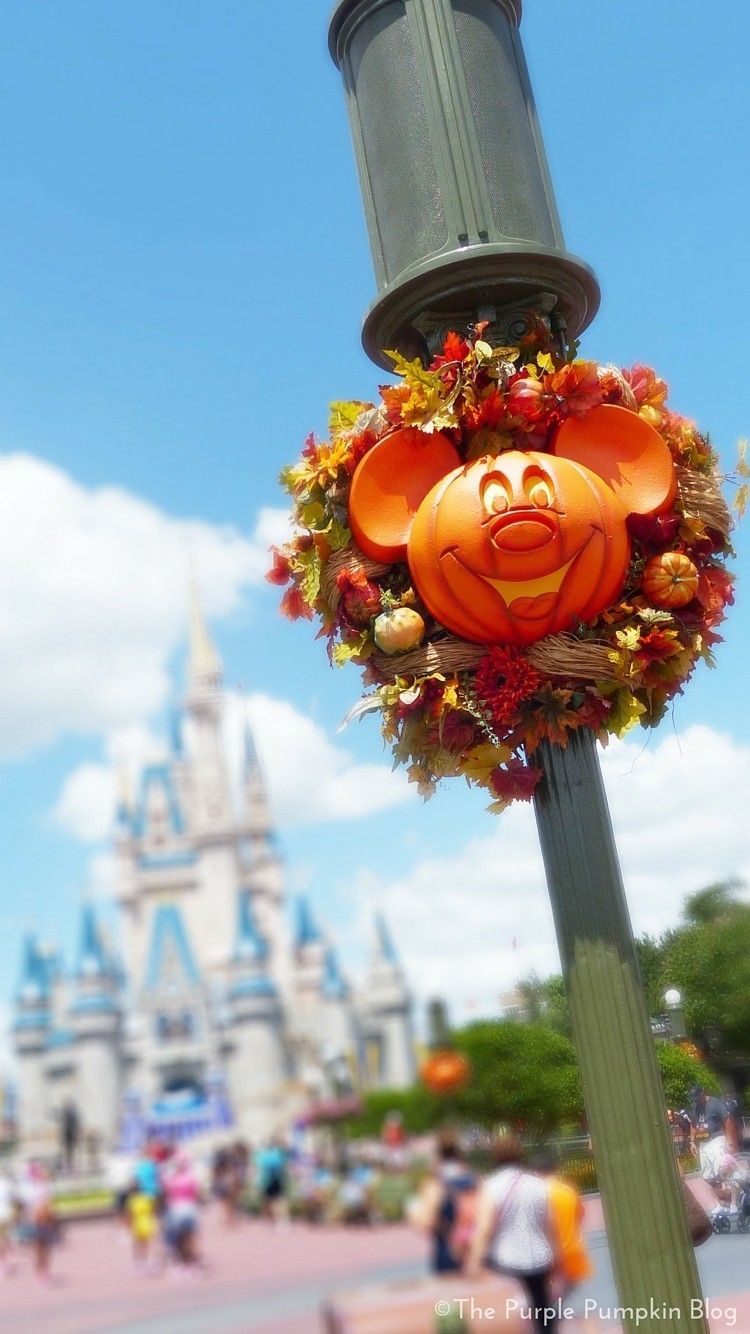 Disney Autumn iPhone Wallpapers - Wallpaper Cave