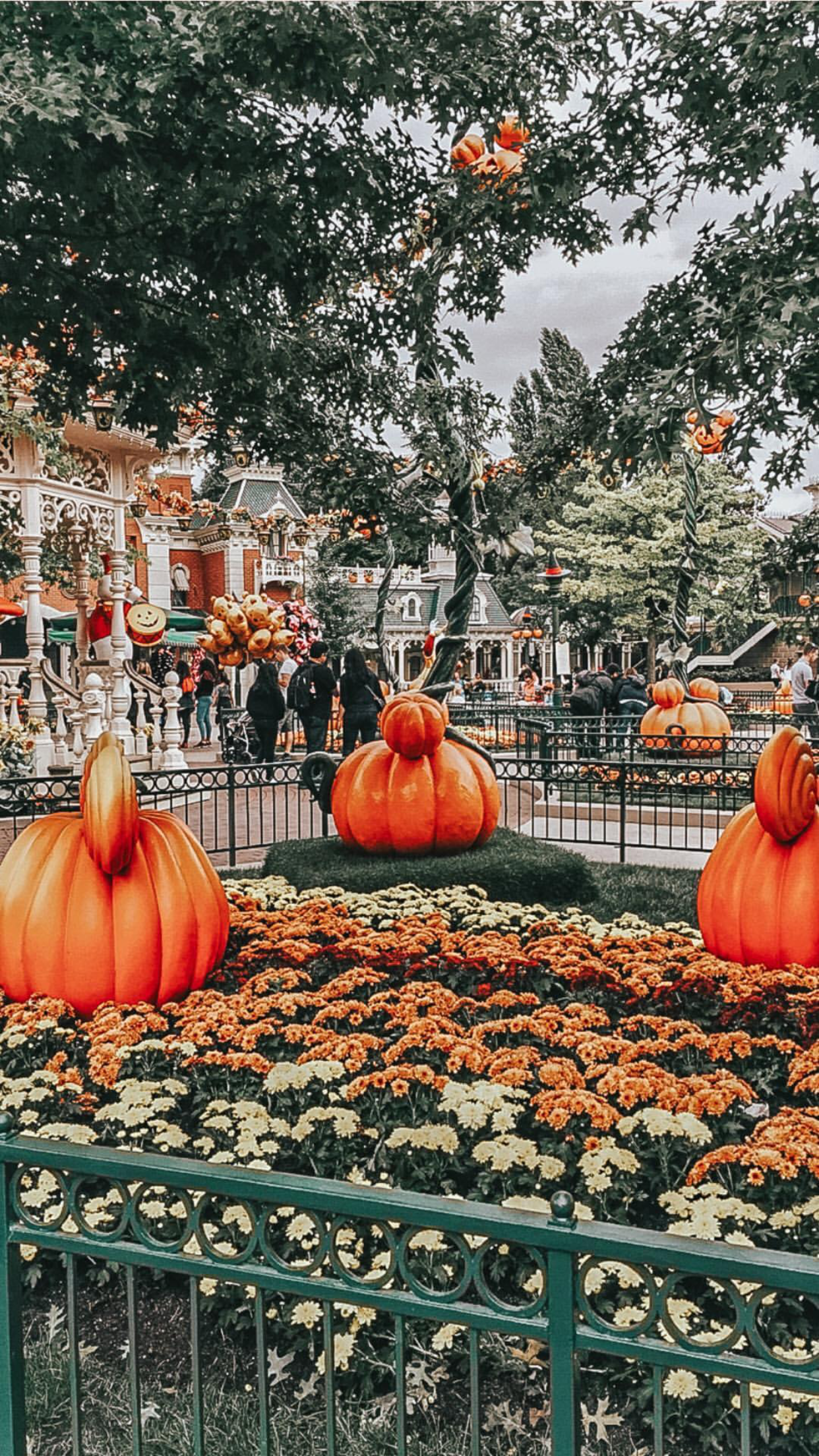Disney Fall iPhone Wallpaper