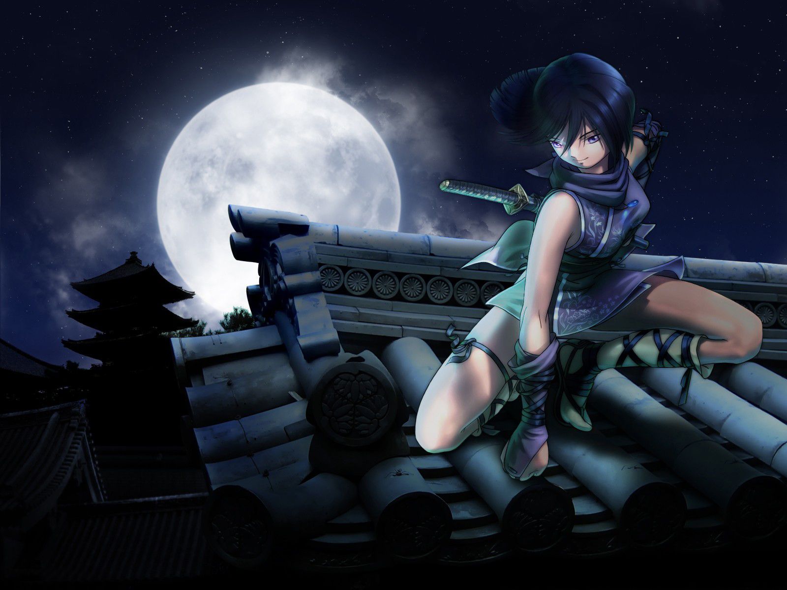 Download wallpaper Stars, moon, ninja, feet free desktop wallpaper in the resolution 1600x1200