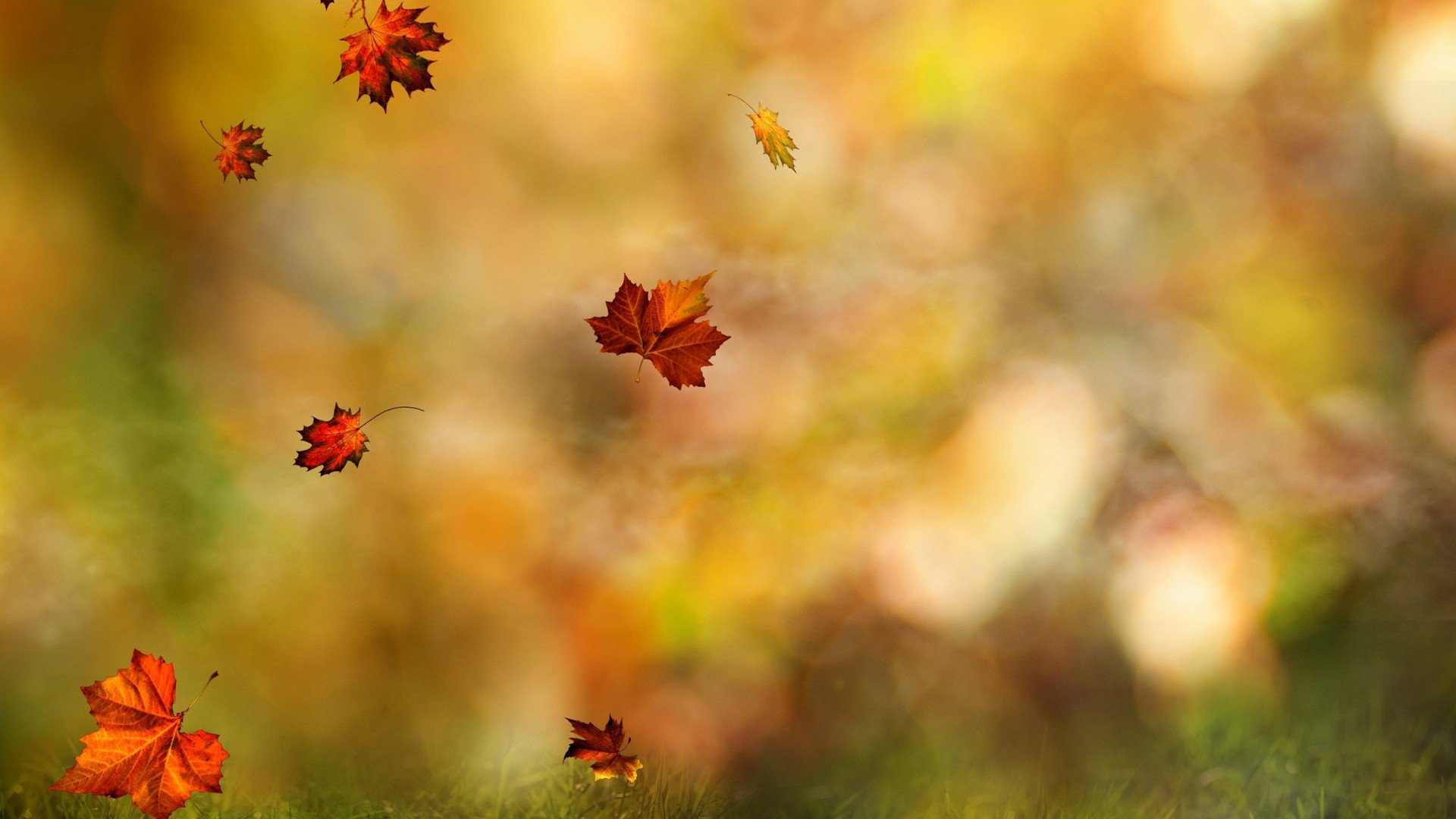 Blurred Autumn Wallpapers - Wallpaper Cave