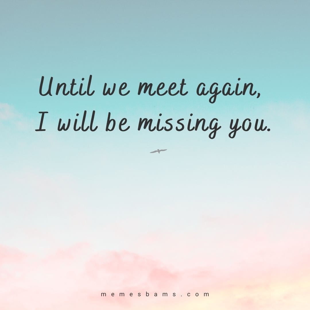 I Miss You Quotes: 80 Cute Missing You Texts