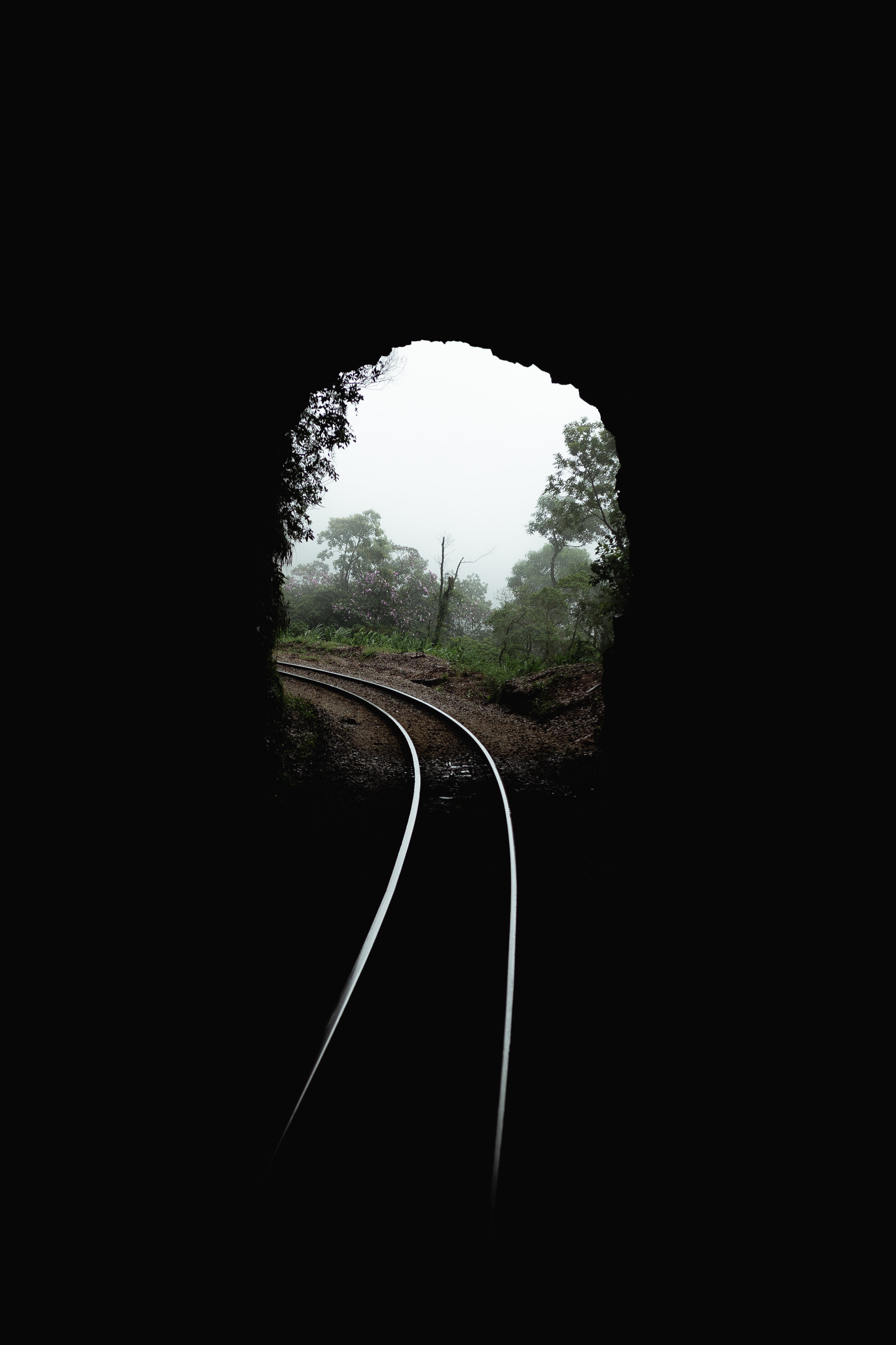 Rail on Tunnel · Free
