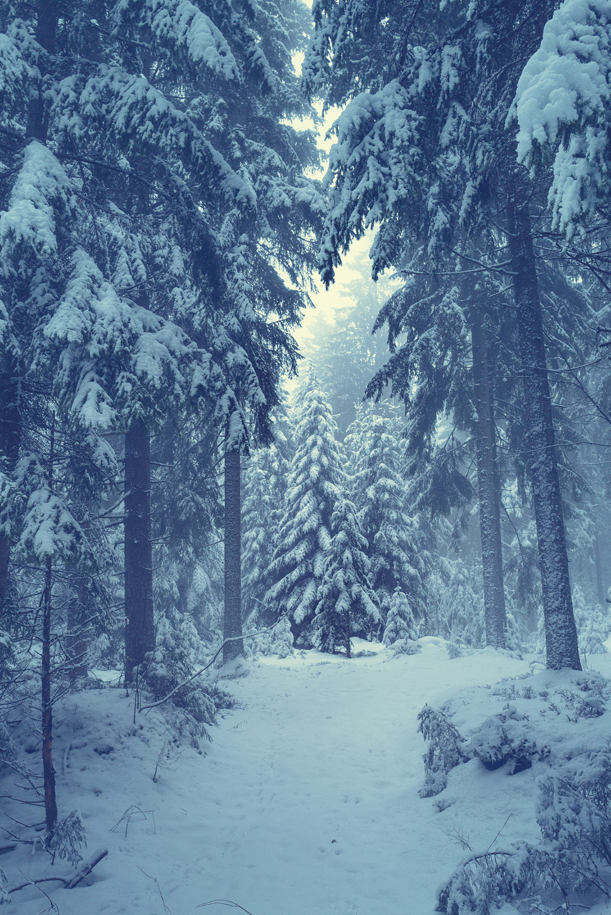 Winter time Manfred Baumann Leica Q2