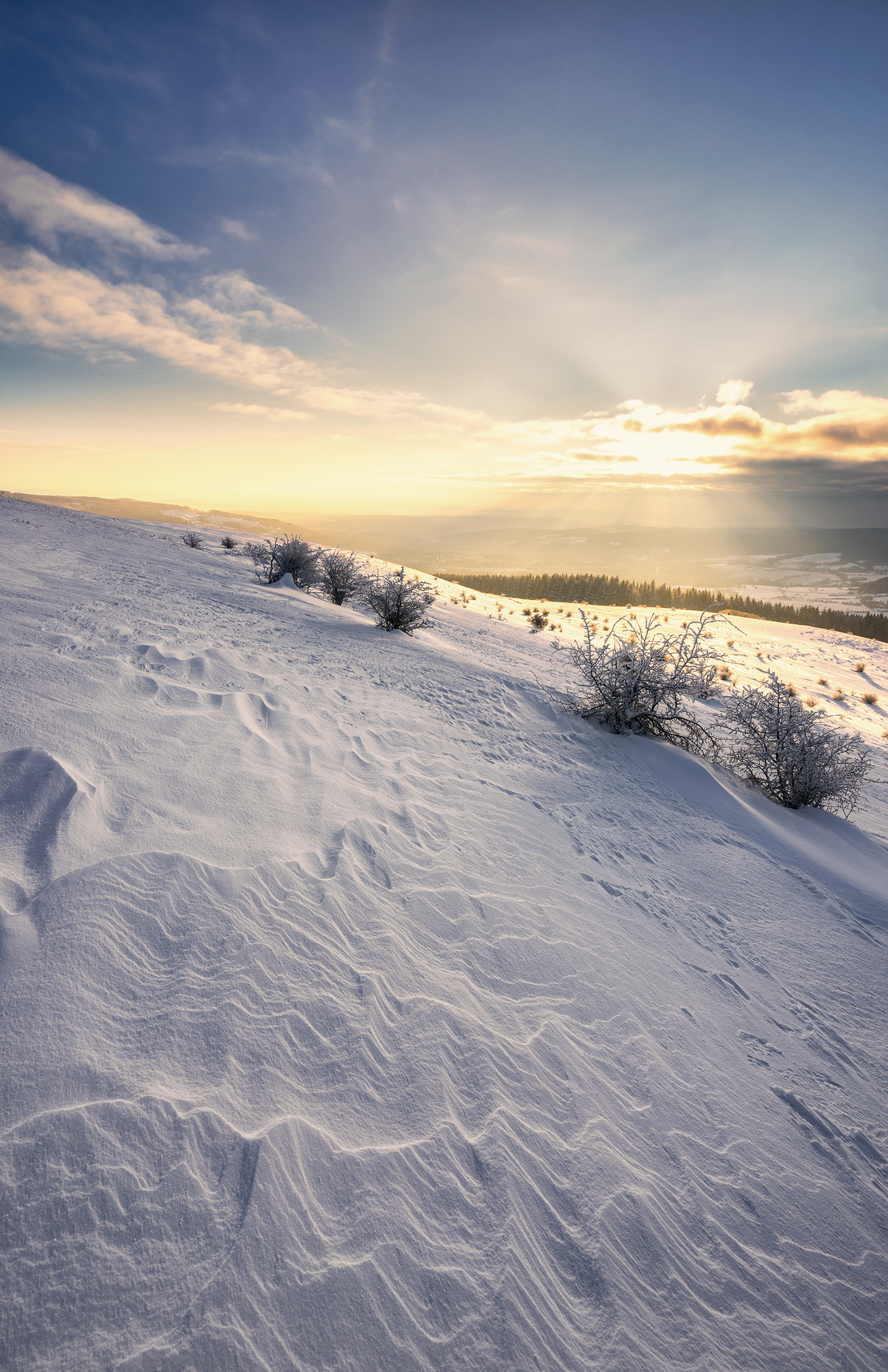 Winter Is Gone (Rhön Germany)