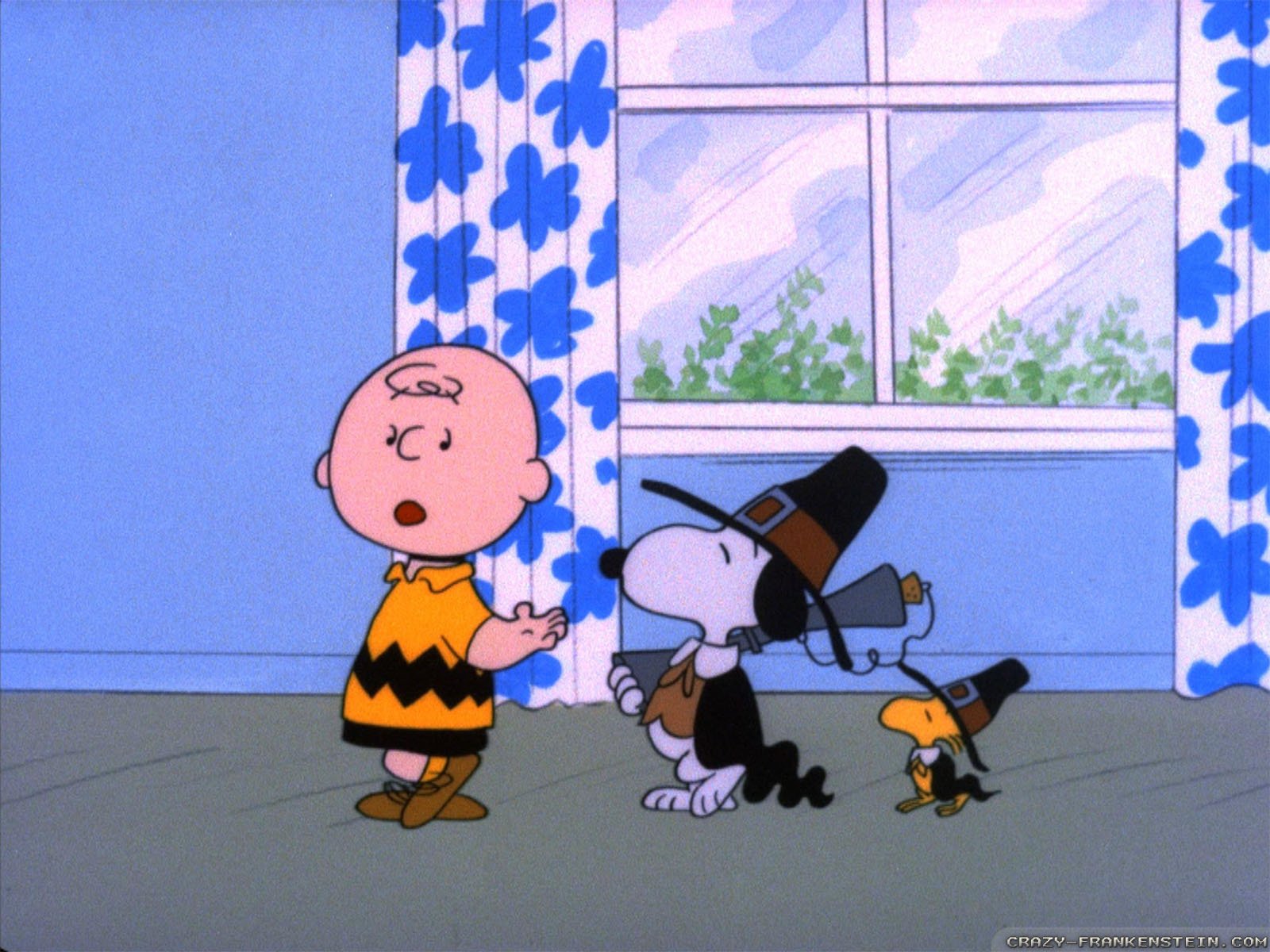 A Charlie Brown Thanksgiving HD Wallpaper and Background