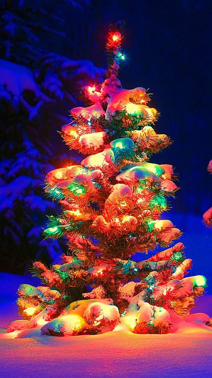 snowy christmas tree iPhone Wallpaper. Christmas phone wallpaper, Christmas tree wallpaper, Christmas wallpaper