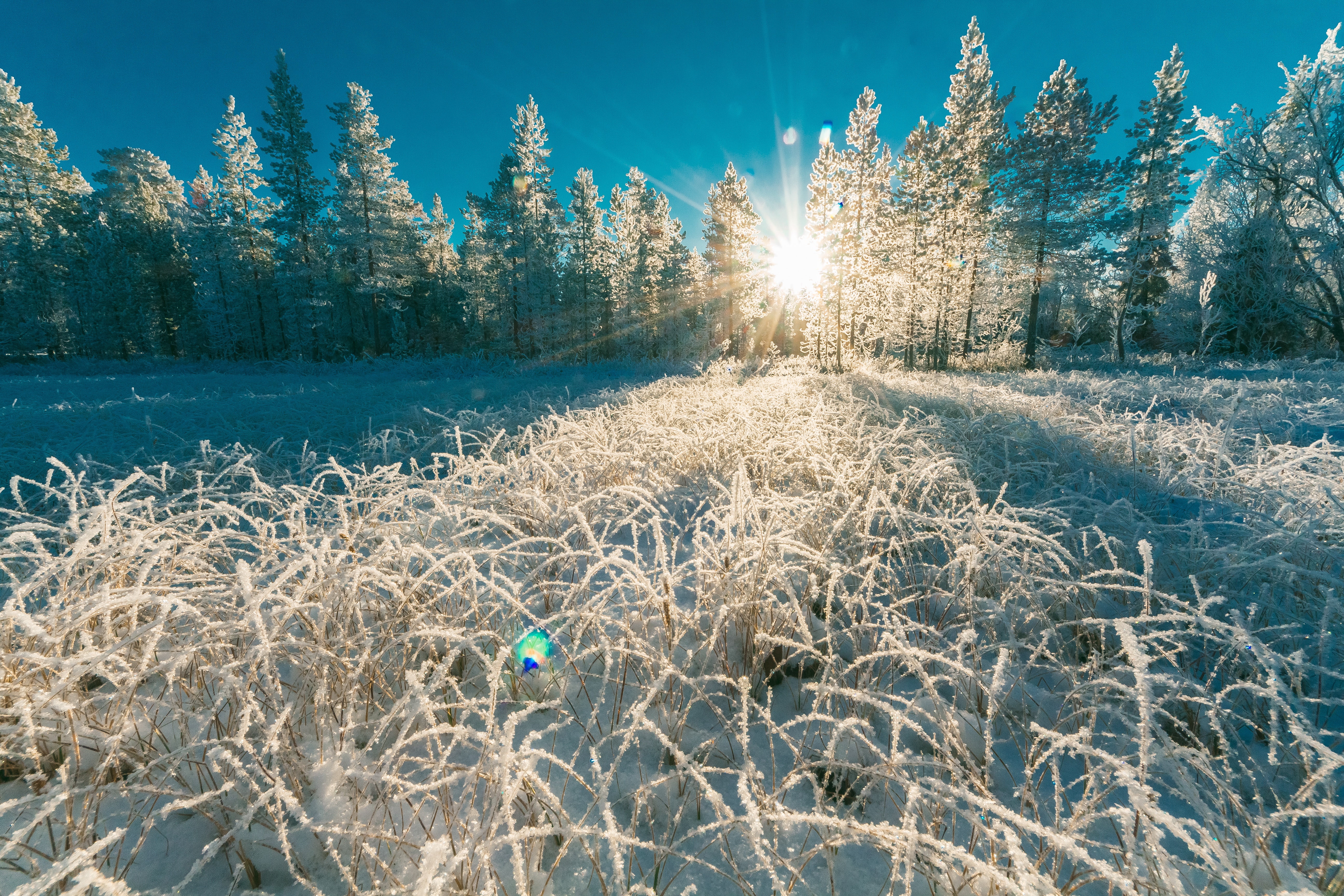 Winter Sun Photo, Download Free Winter Sun & HD Image