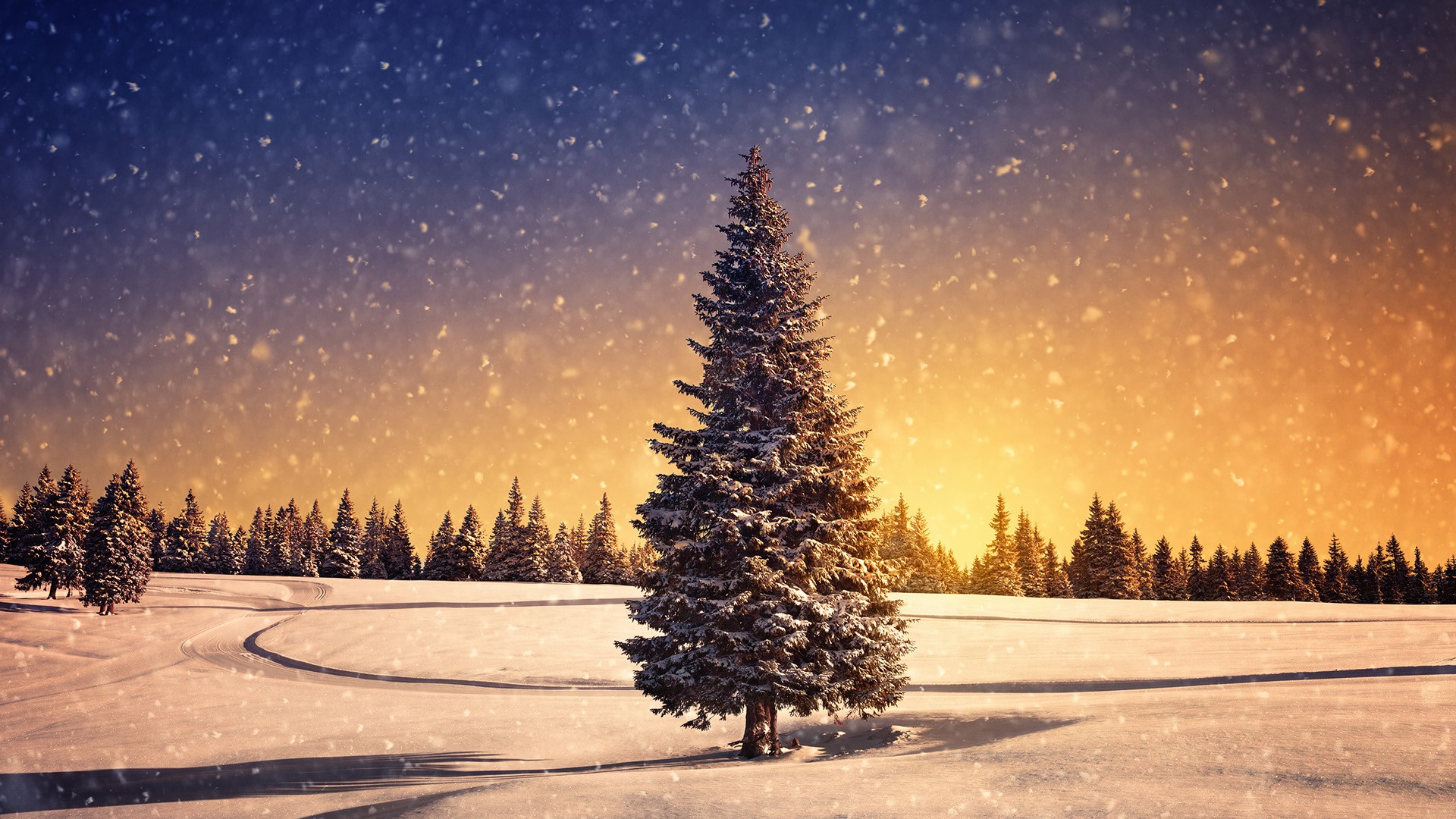 Cozy little christmas katy perry. Winter Landscape with Lonely Spruce Tree in Front during Snow Storm at Sunset.