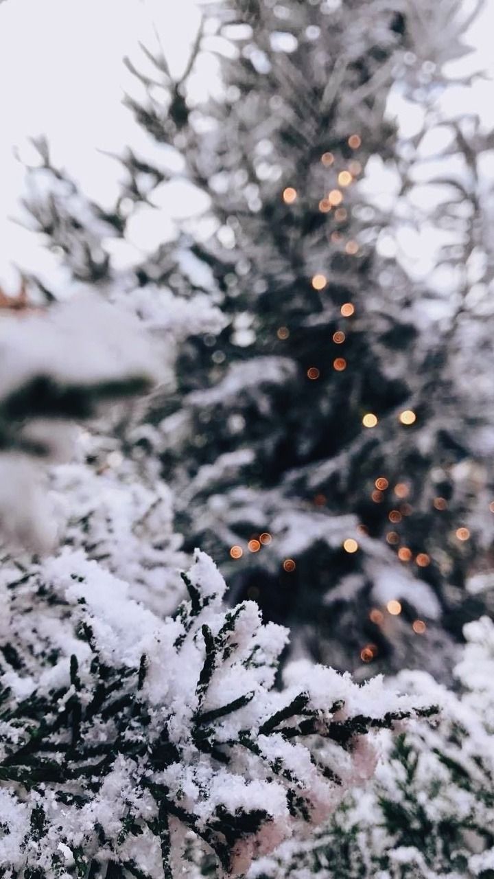 christmas wallpaper. Christmas wallpaper tumblr, Wallpaper iphone christmas, Cute christmas wallpaper