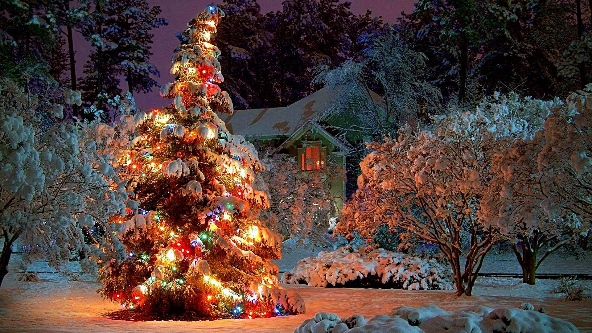 Aesthetic Christmas Tree Landscape Wallpapers Wallpaper Cave